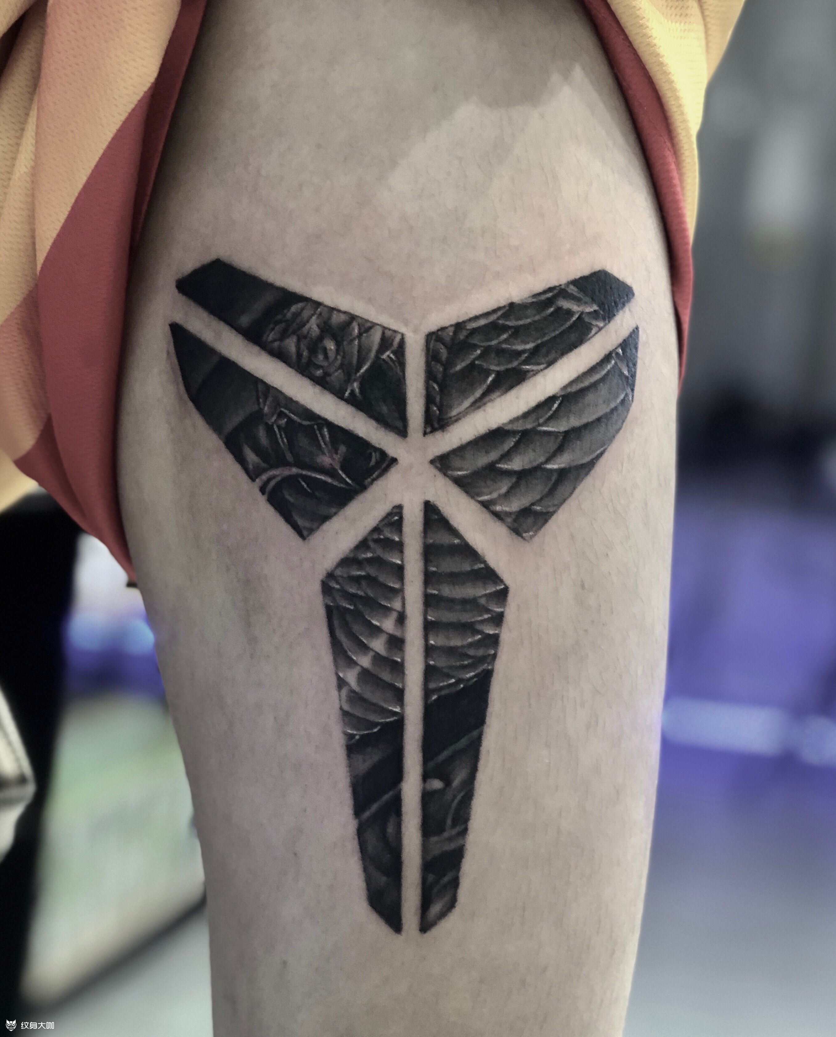 黑曼巴科比_纹身图案手稿图片_big baby 的纹身作品集