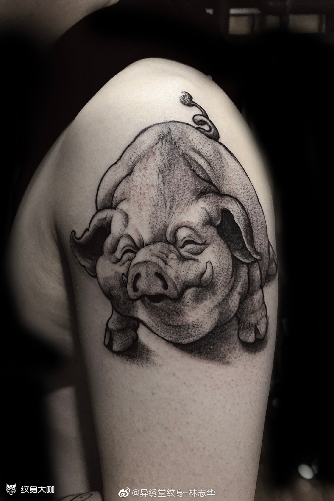 这不是佩奇宁波顾客生肖属猪,_纹身吧社区 - 纹身大咖