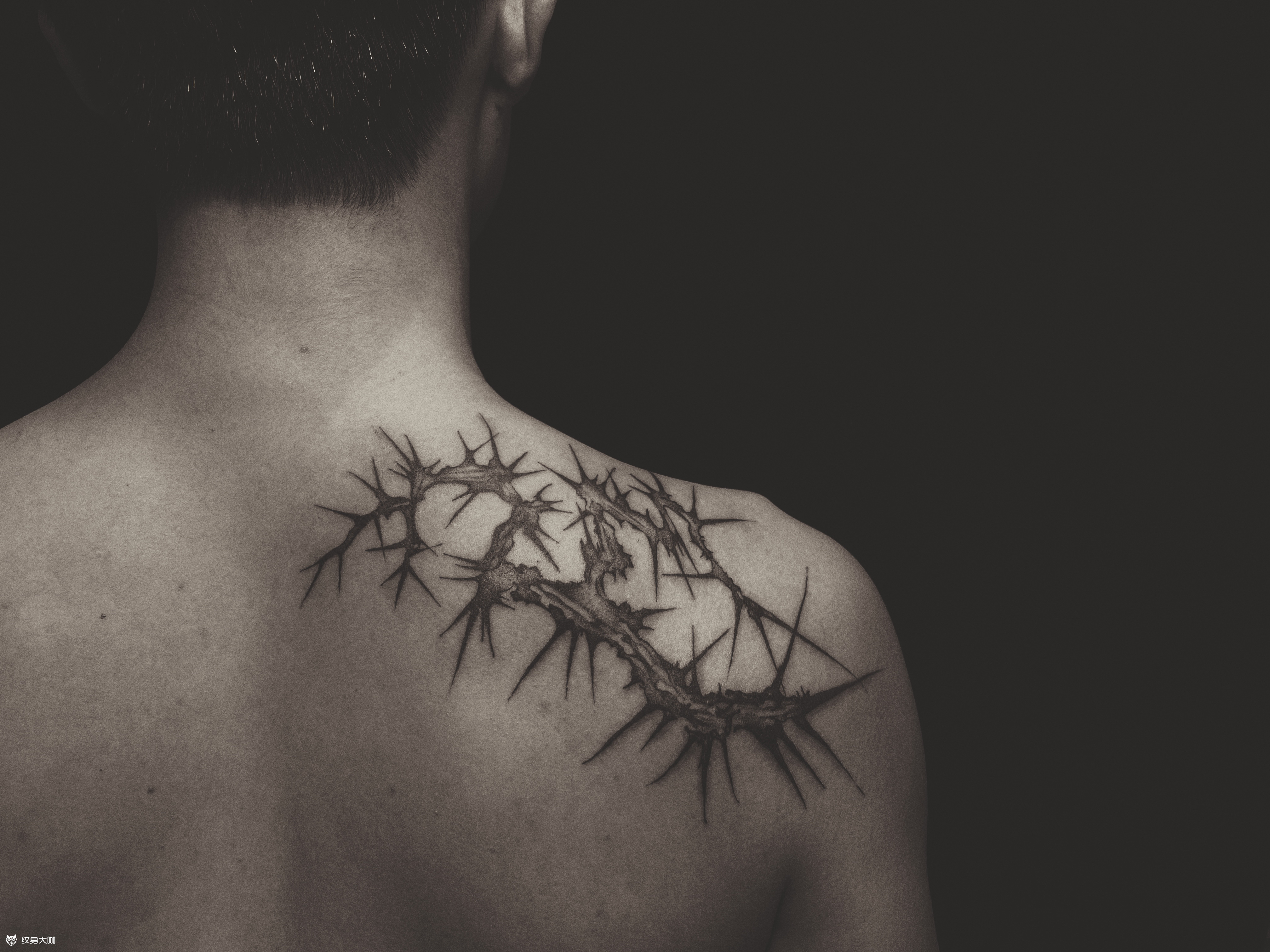 荆棘_纹身图案手稿图片_任中强的纹身作品集