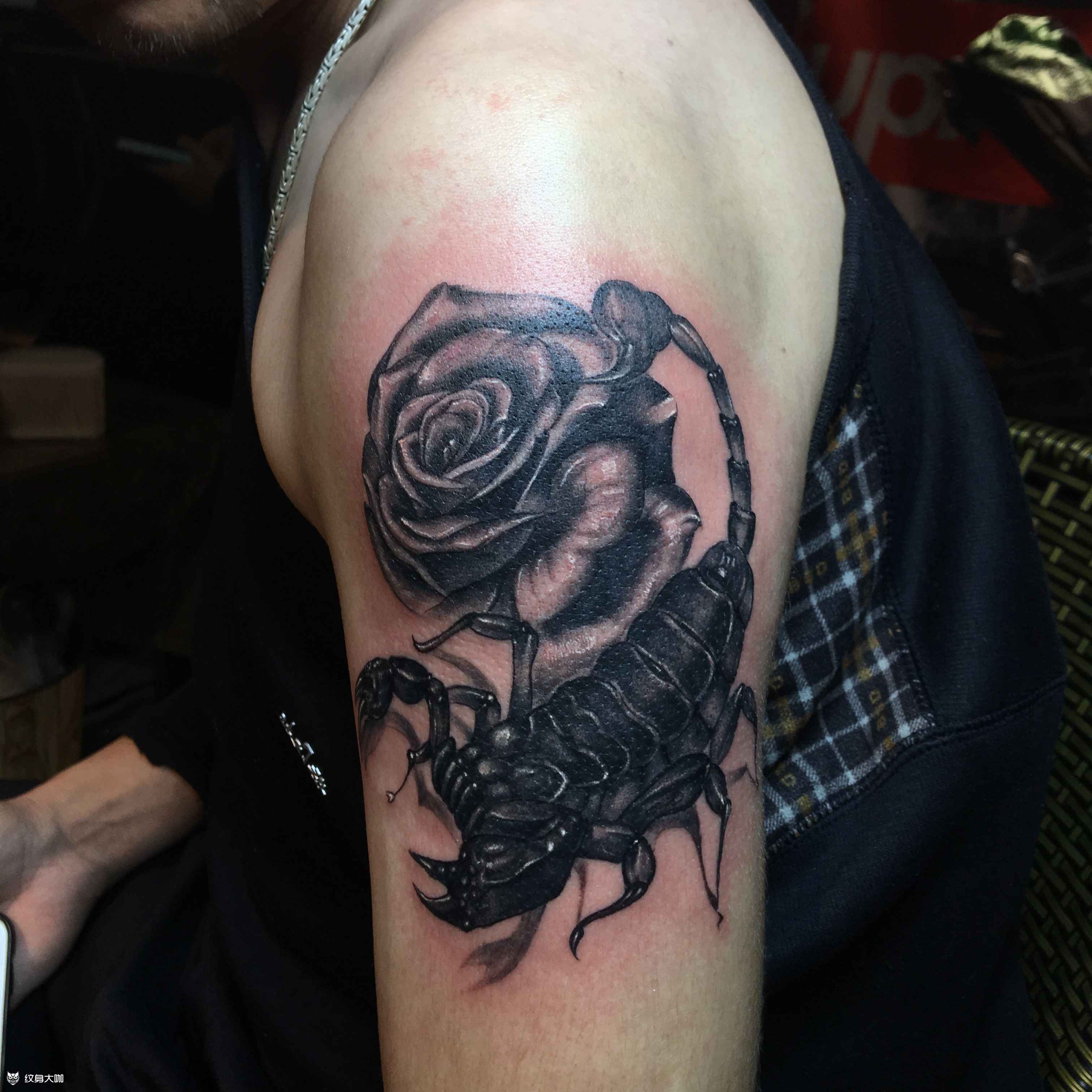 蝎子_纹身图案手稿图片_舒克的纹身作品集