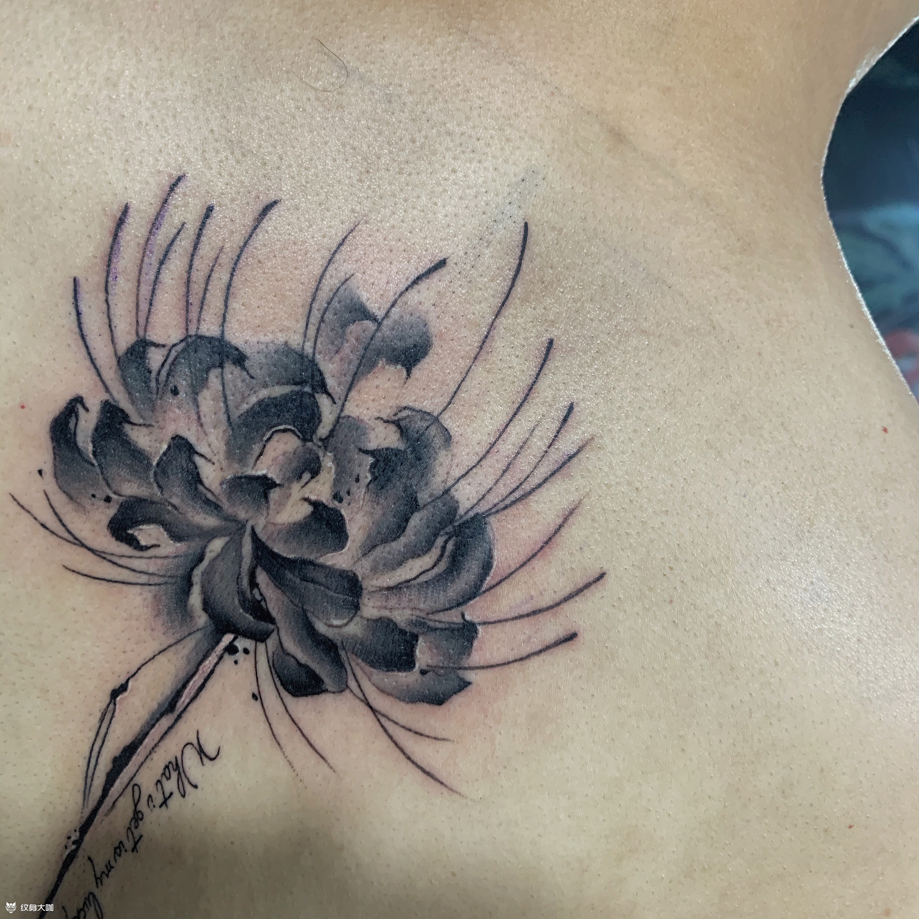 水墨彼岸花纹身