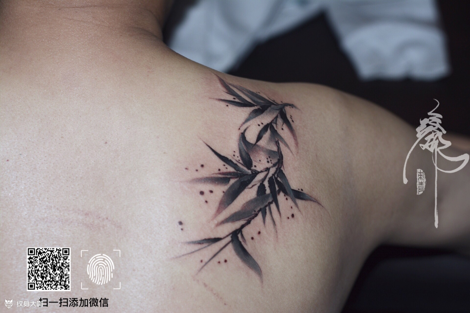 竹_纹身图案手稿图片_旌都 小语的纹身作品集