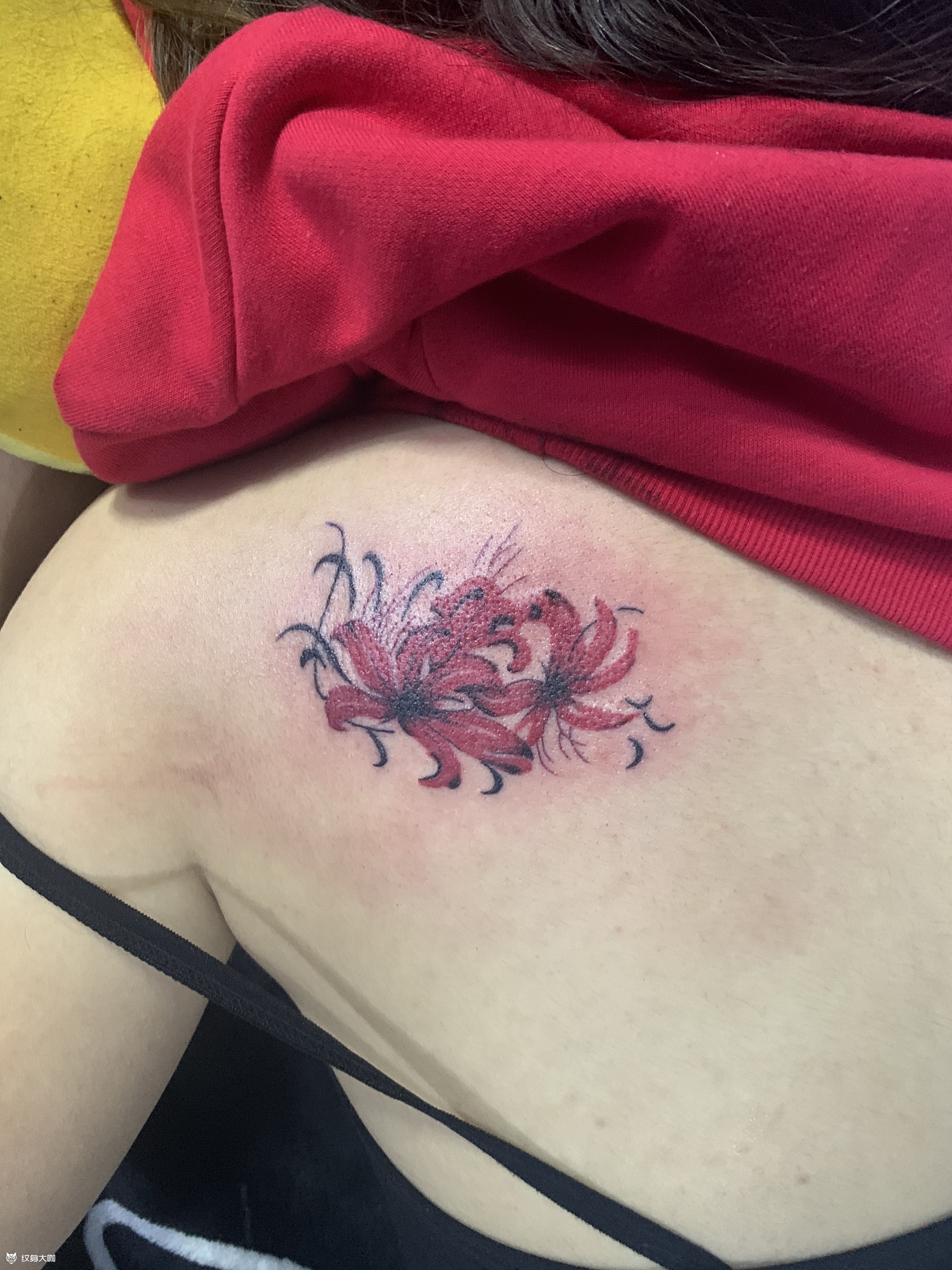 后肩彼岸花_纹身图案手稿图片_聂金的纹身作品集