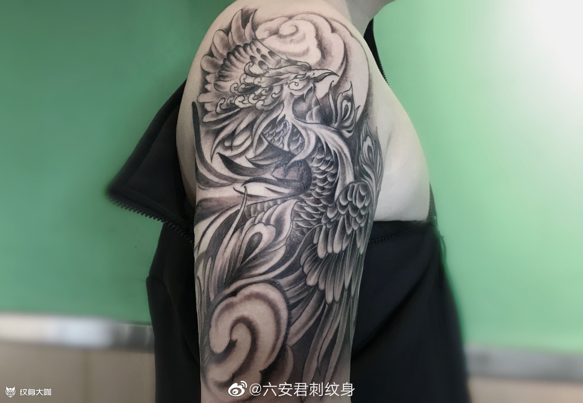 凤凰_纹身图案手稿图片_君刺的纹身作品集