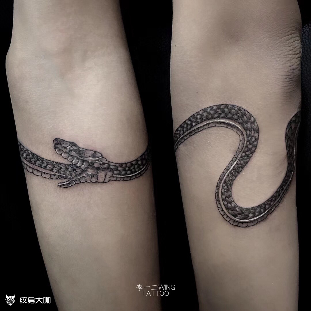 手环-蛇_纹身图案手稿图片_李十二wing的纹身作品集