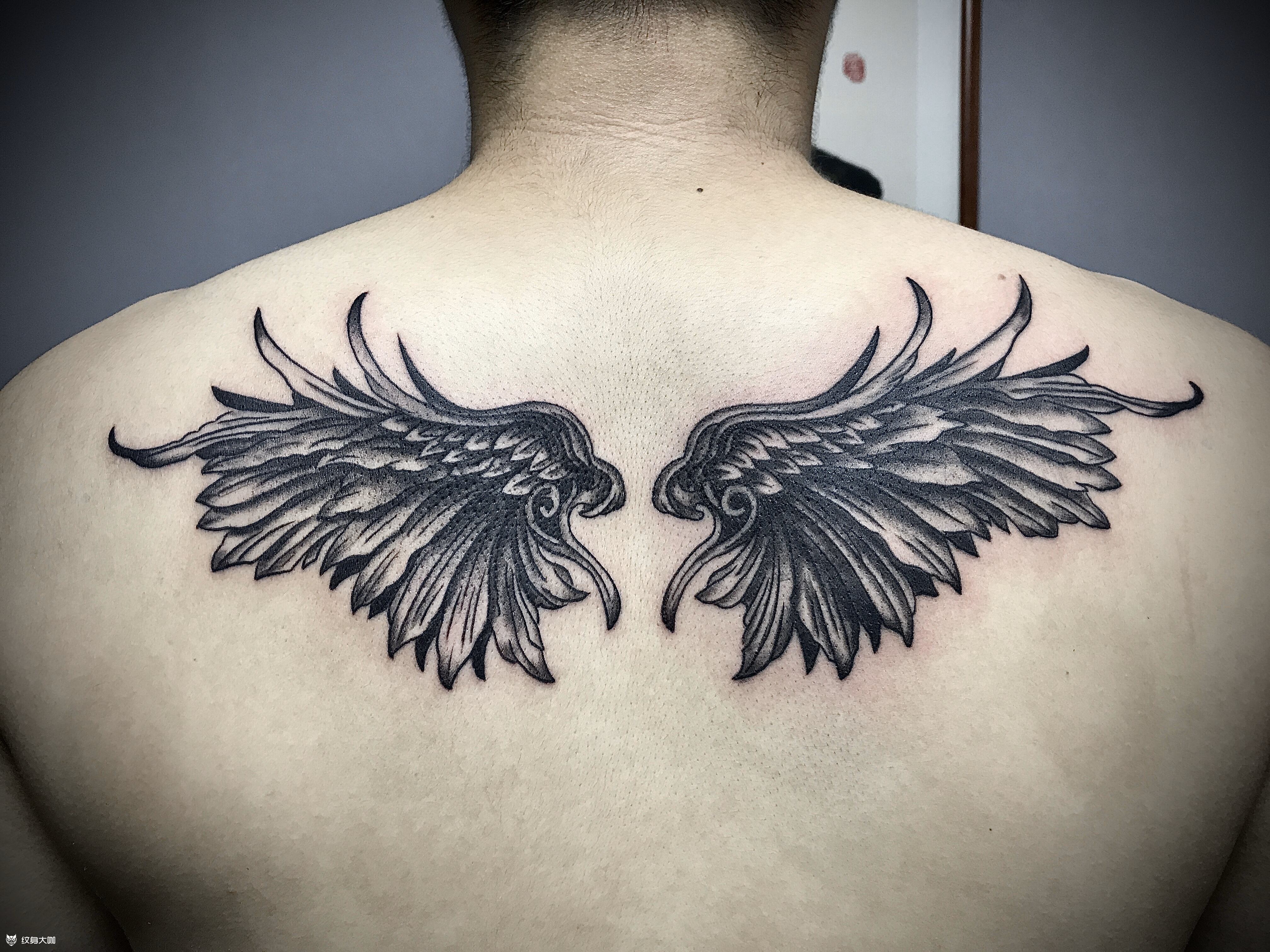 翅膀_纹身图案手稿图片_奈司的纹身作品集
