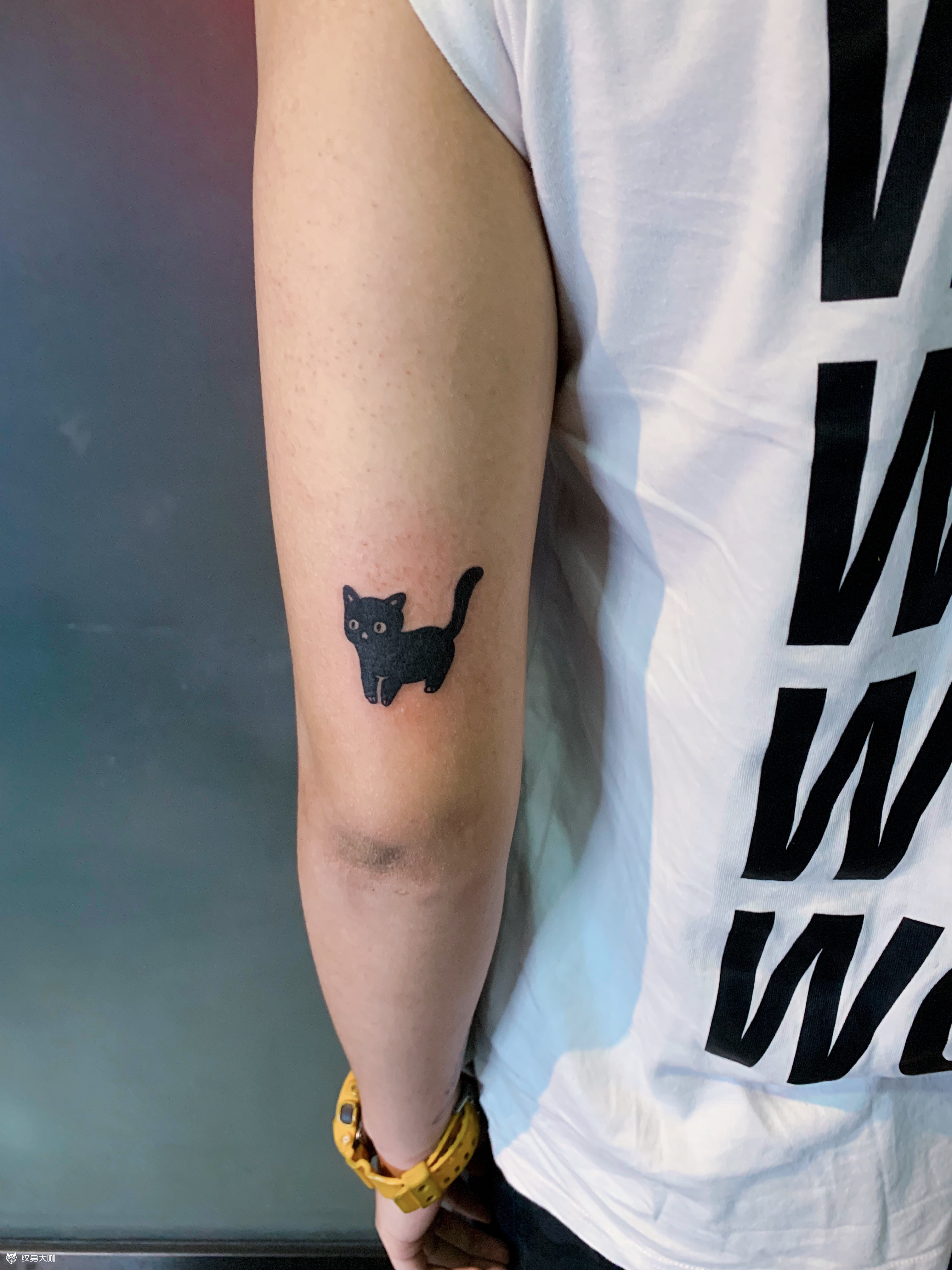 小黑猫_纹身图案手稿图片_啊豪的纹身作品集