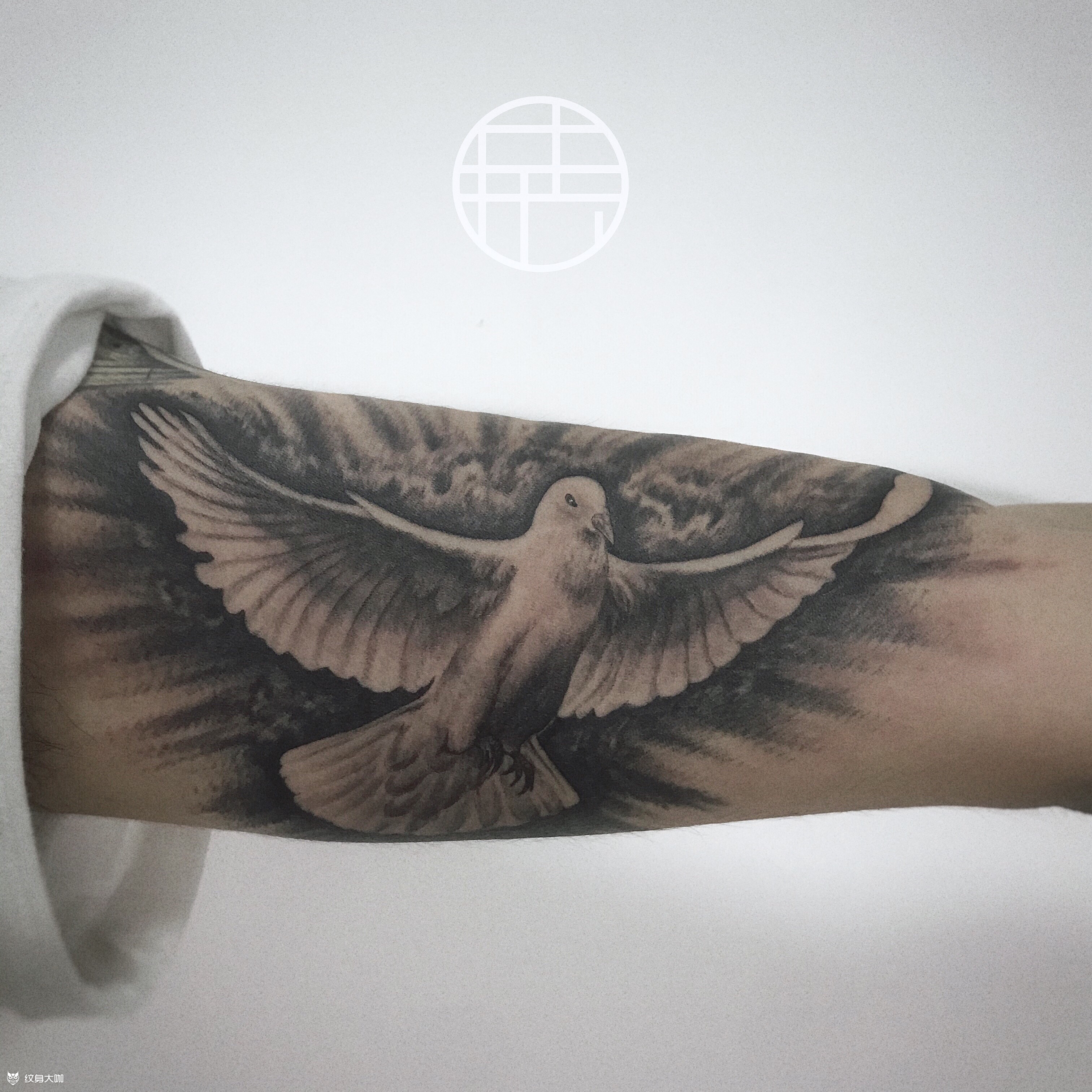 和平鸽_纹身图案手稿图片_刘绍铭的纹身作品集