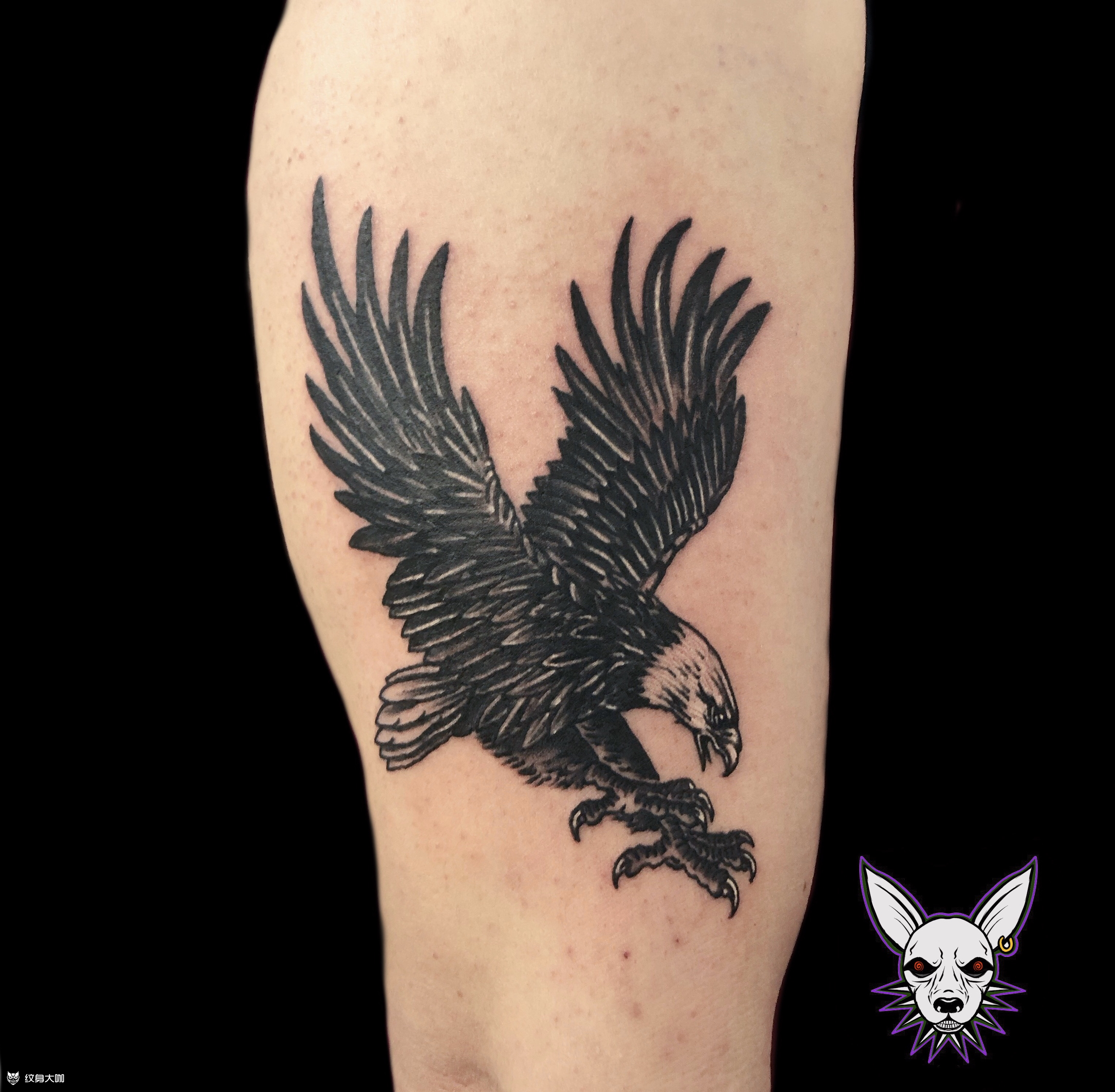 鹰07_纹身图案手稿图片_饶琦的纹身作品集