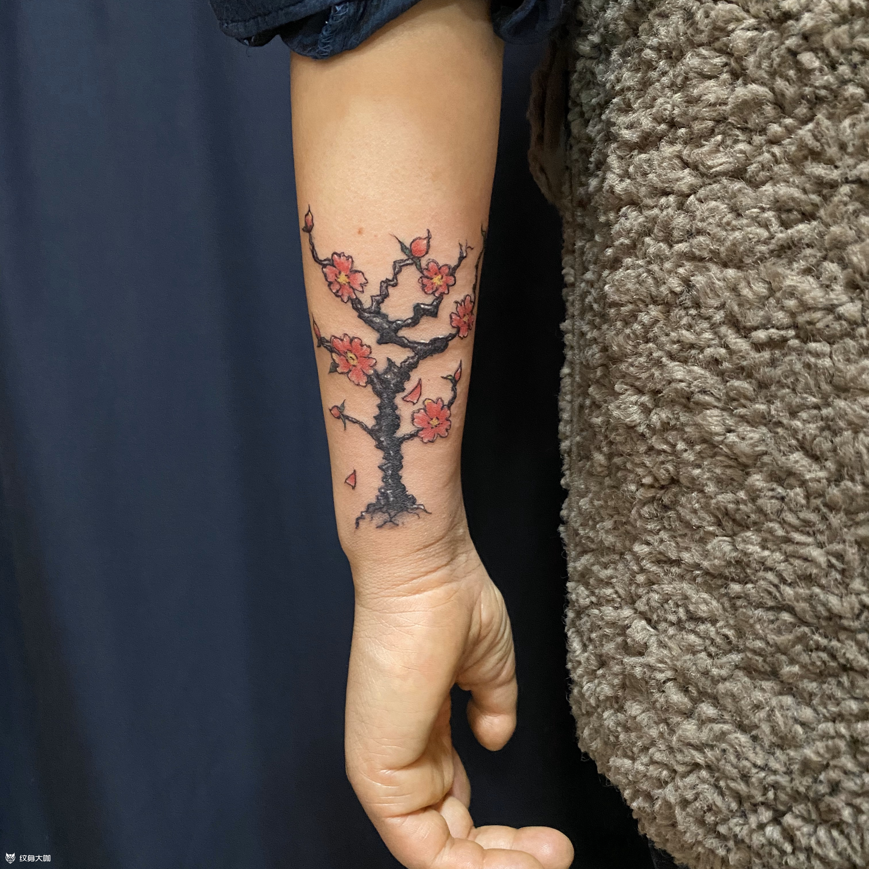 梅花遮盖_纹身图案手稿图片_忠义堂的纹身作品集