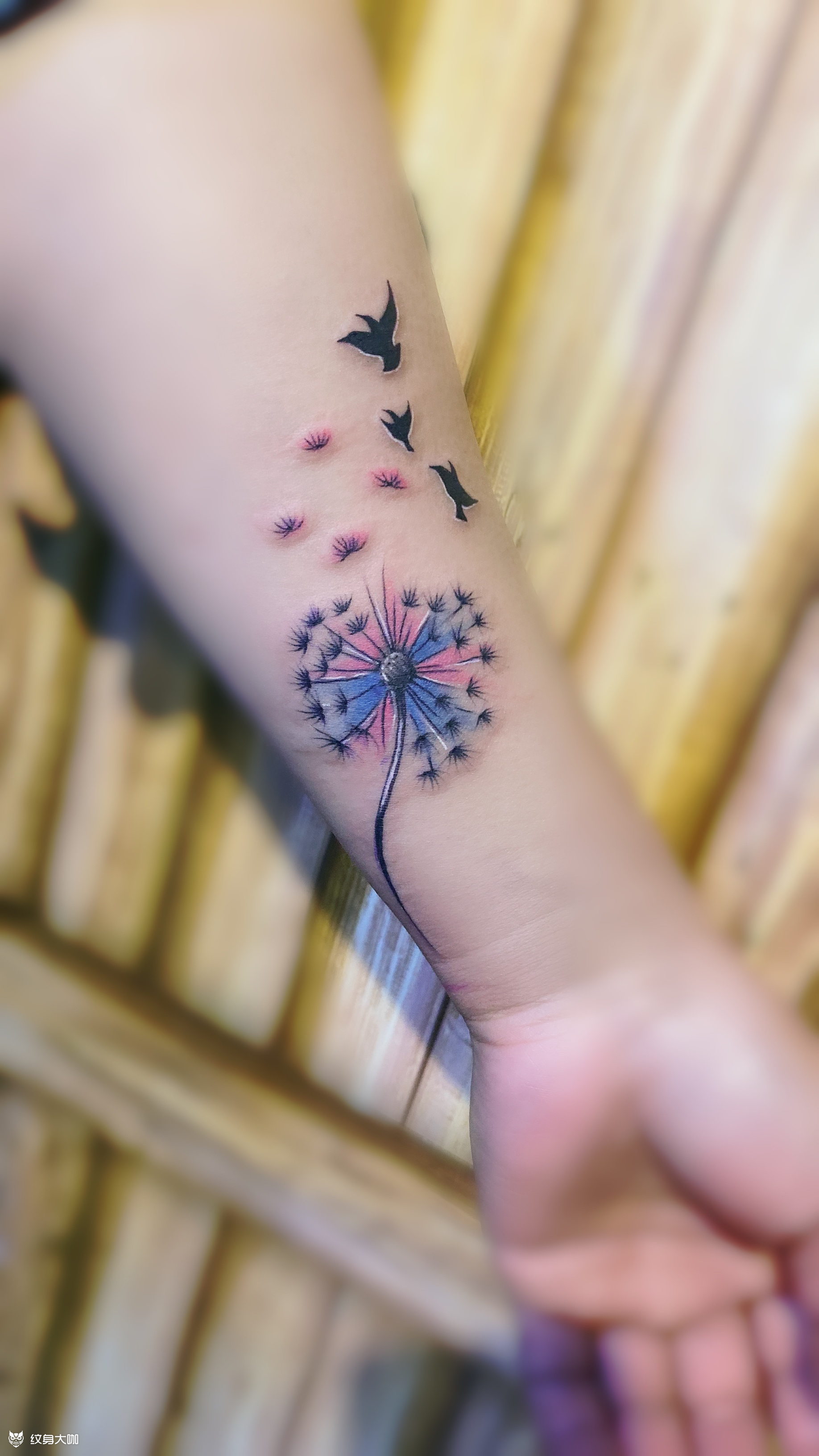 蒲公英_纹身图案手稿图片_阿龙的纹身作品集