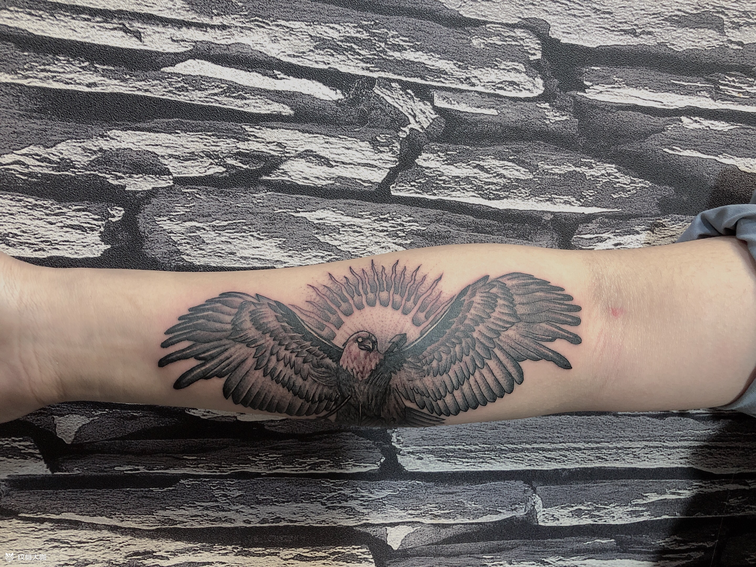 雄鹰展翅_纹身图案手稿图片_彭画吉的纹身作品集