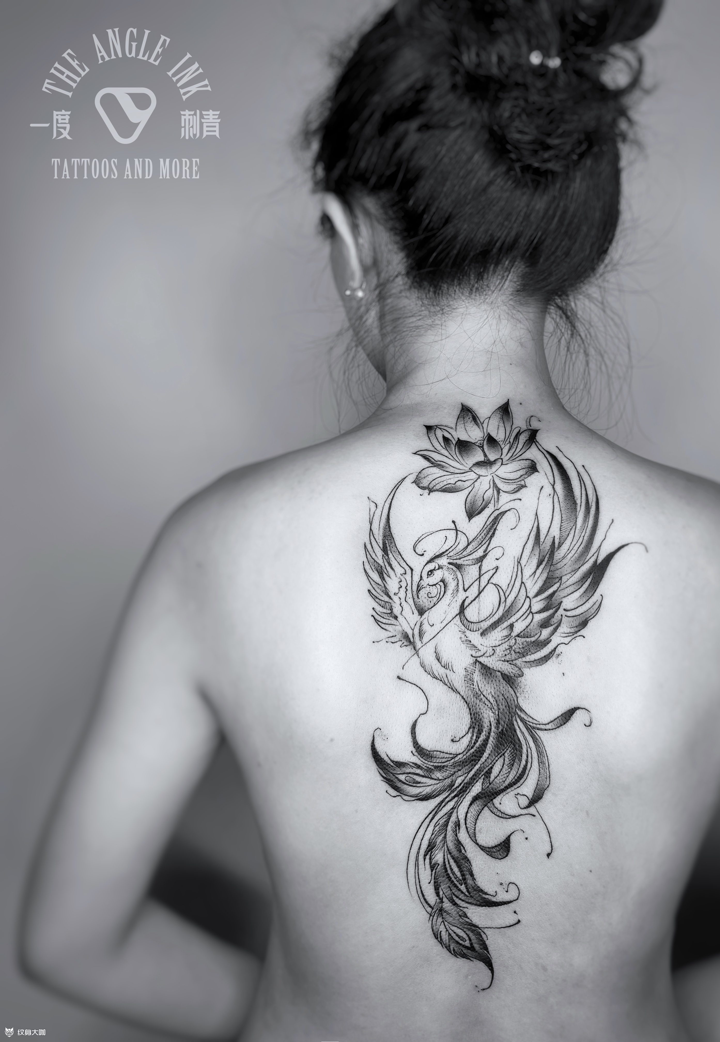 凤凤凤凰莲花_纹身图案手稿图片_刘急眼的纹身作品集