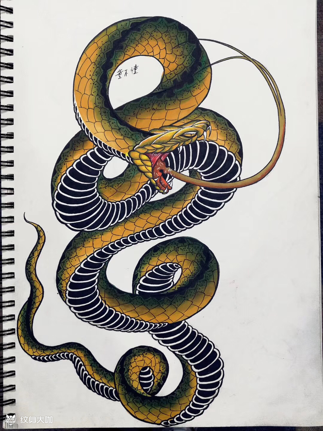 蛇_纹身图案手稿图片_懂不董的纹身作品集