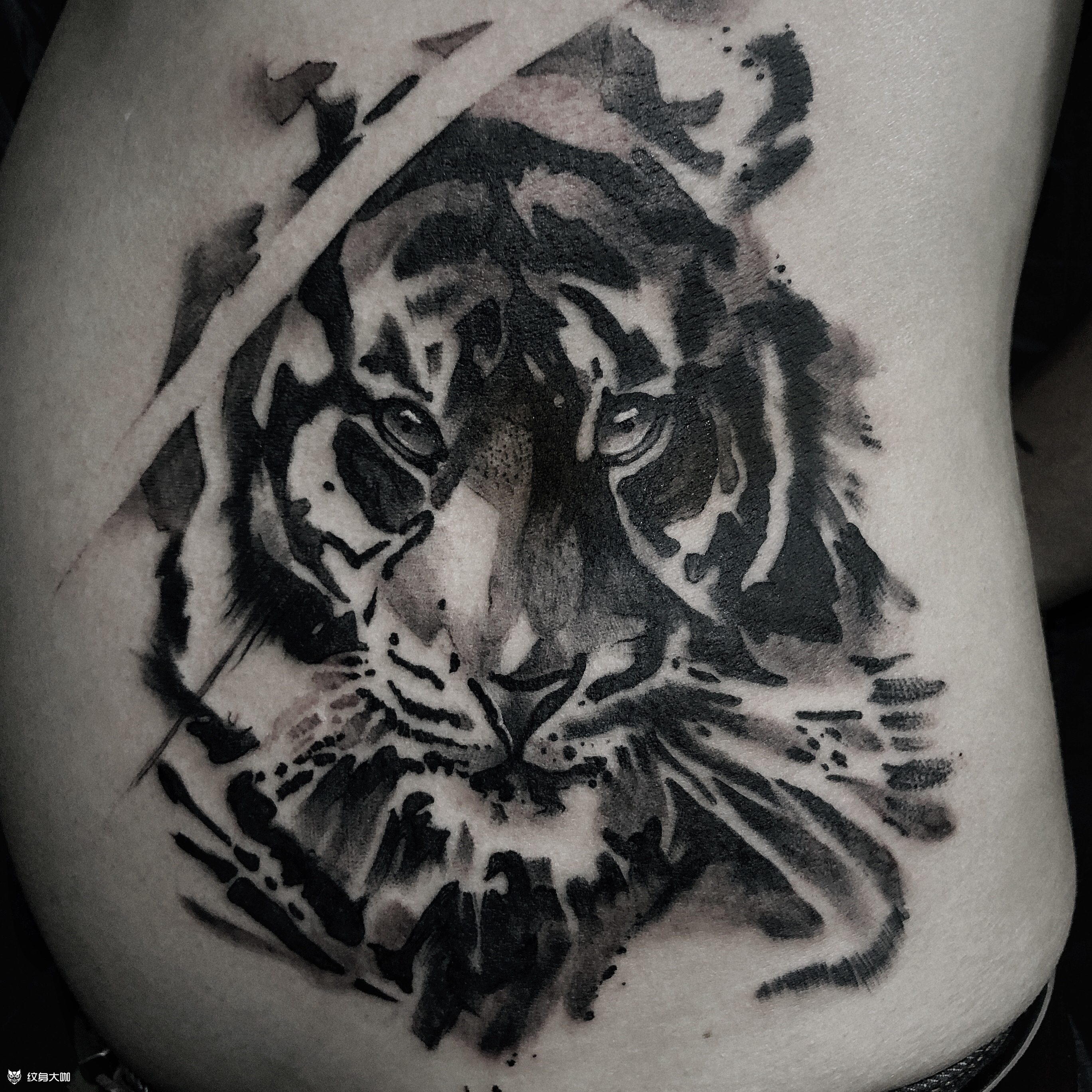 水墨虎_纹身图案手稿图片_李纹肆的纹身作品集