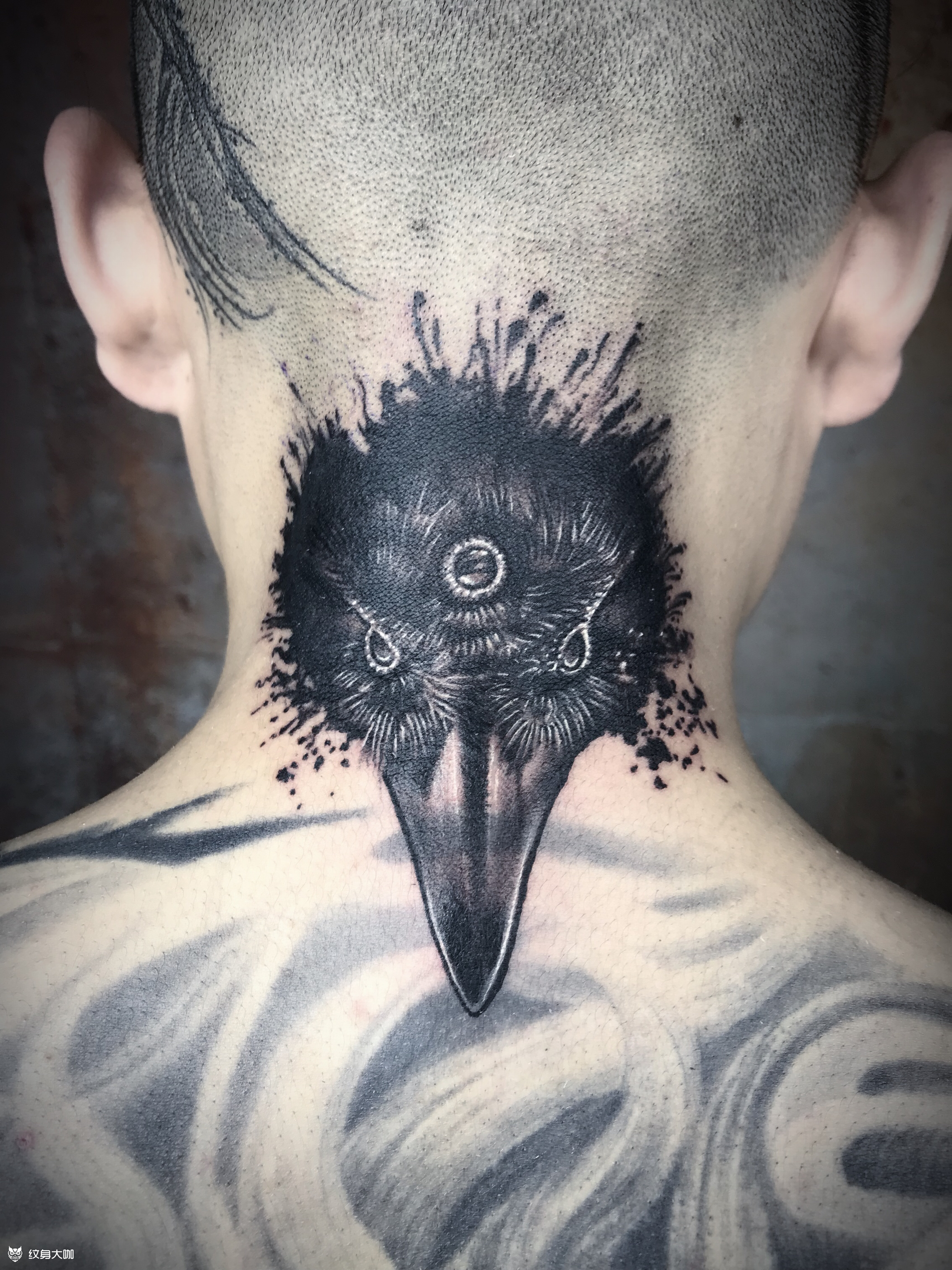 暗黑乌鸦_纹身图案手稿图片_峰哥的纹身作品集