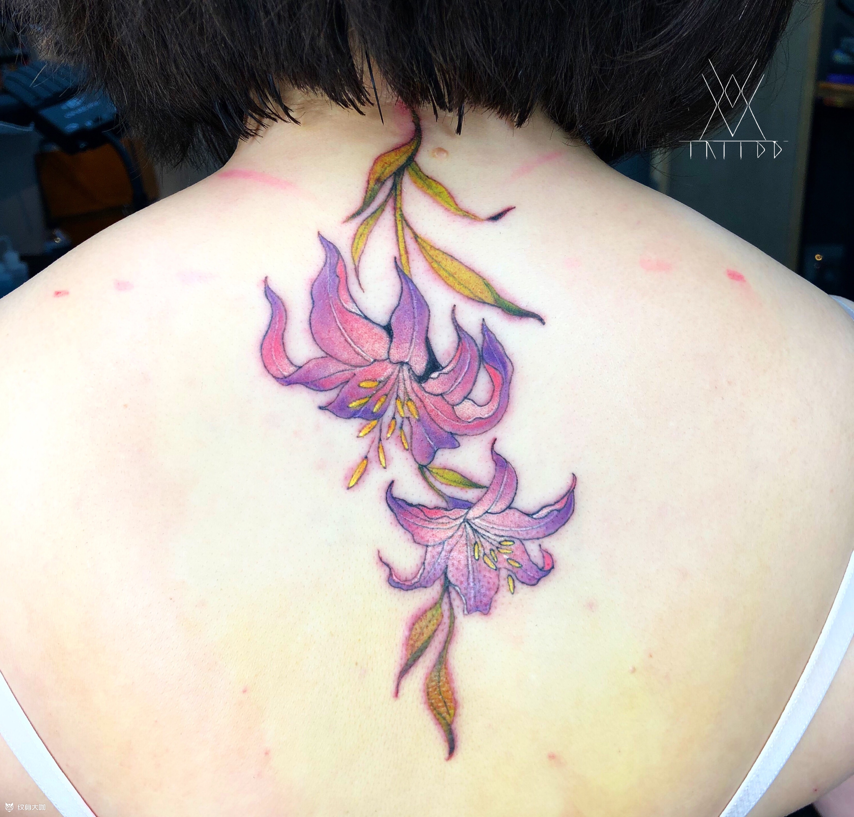 百合_纹身图案手稿图片_甄涵的纹身作品集