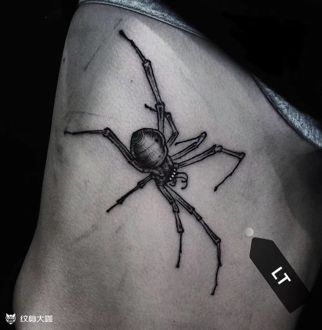 蜘蛛纹身
