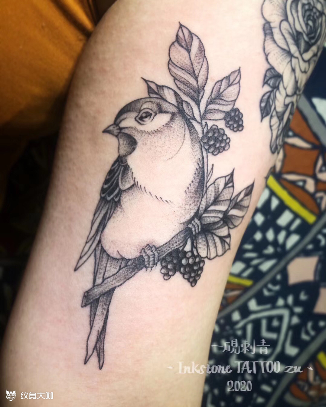 小鸟纹身_纹身图案手稿图片_zu的纹身作品集