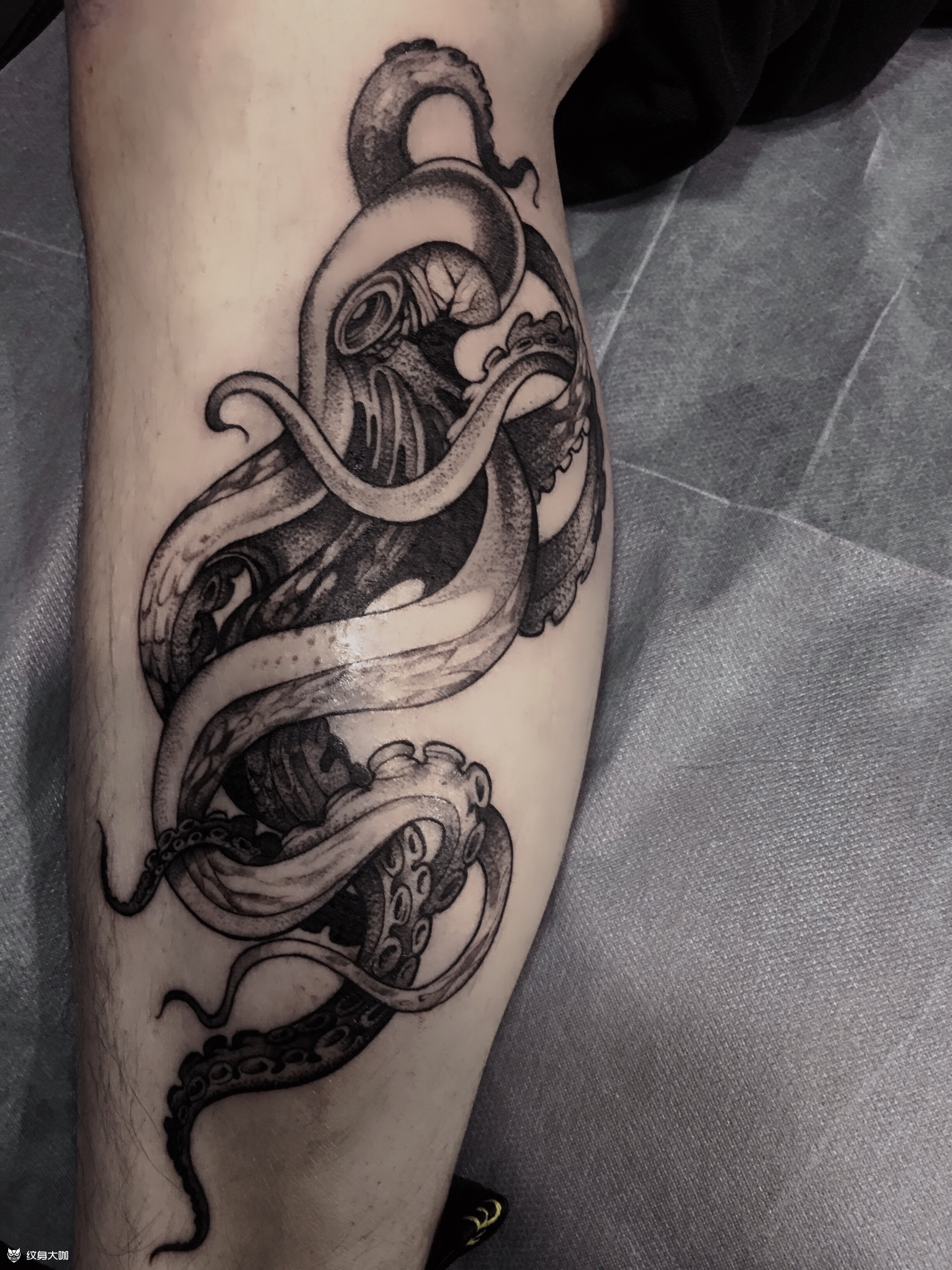 章鱼_纹身图案手稿图片_柳展的纹身作品集