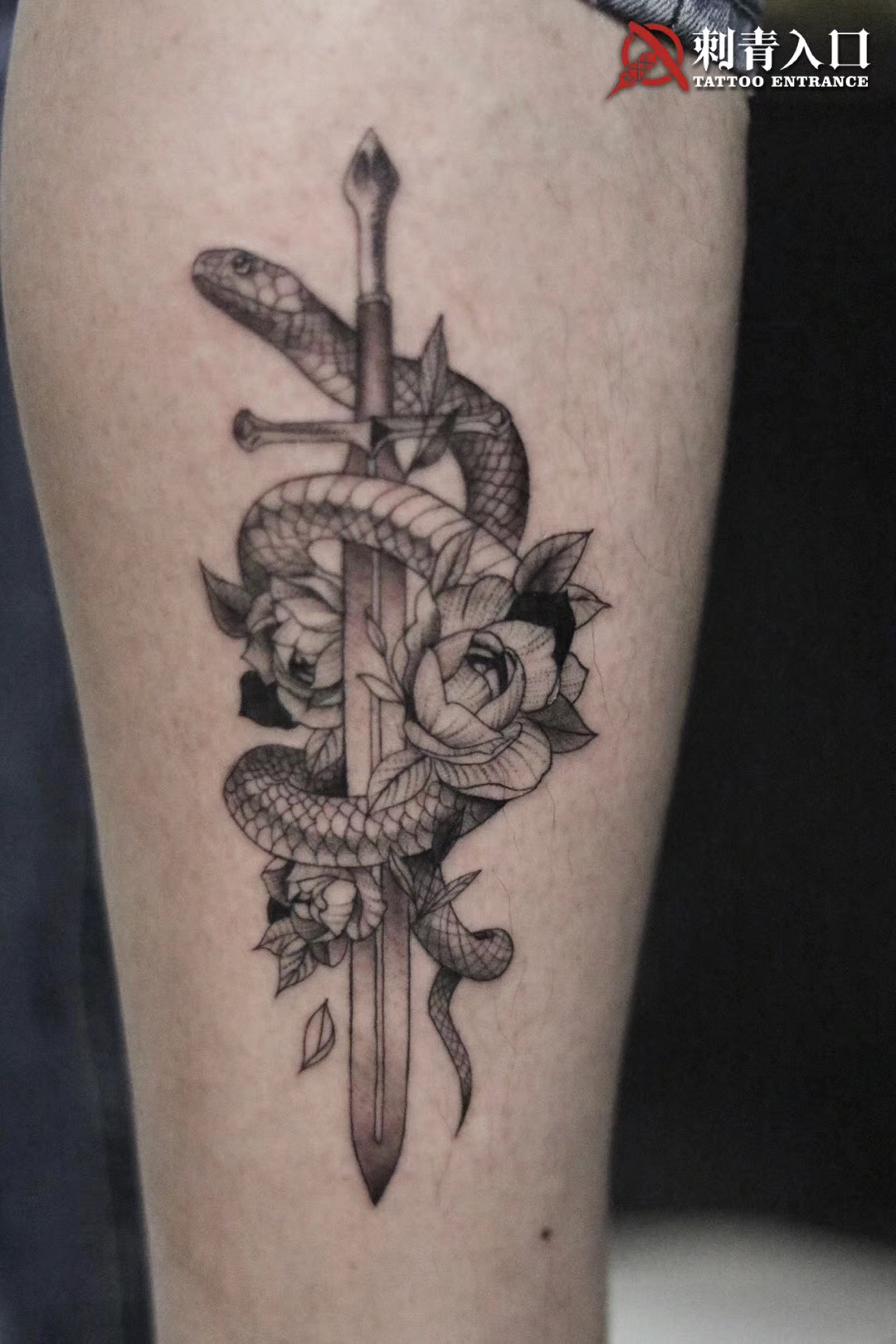 毒蛇与利剑_纹身图案手稿图片_施道明的纹身作品集