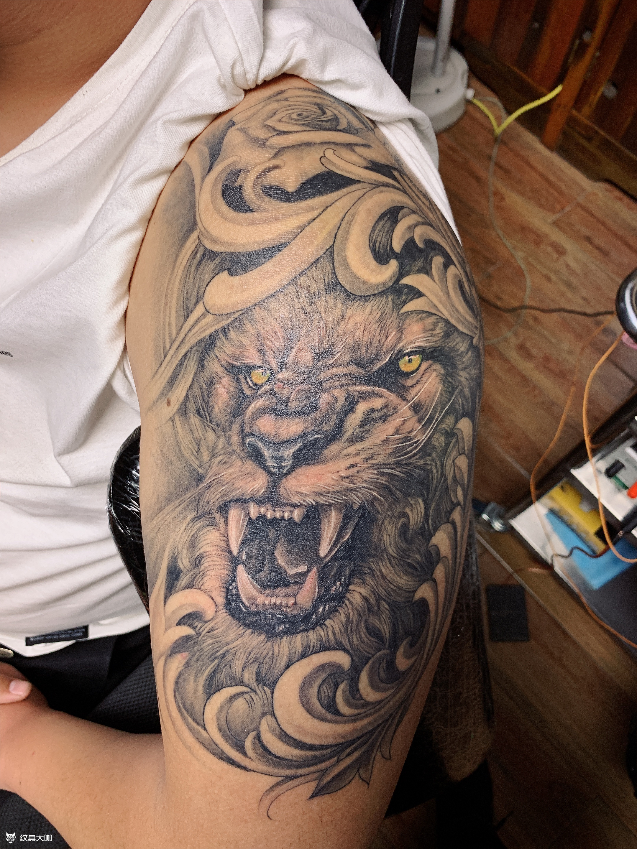 狮子辛巴3_纹身图案手稿图片_艾加纹身的纹身作品集