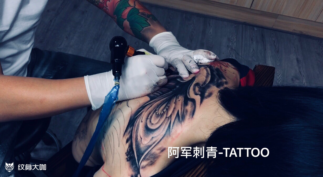 满背凤凰_纹身图案手稿图片_阮先生的纹身作品集