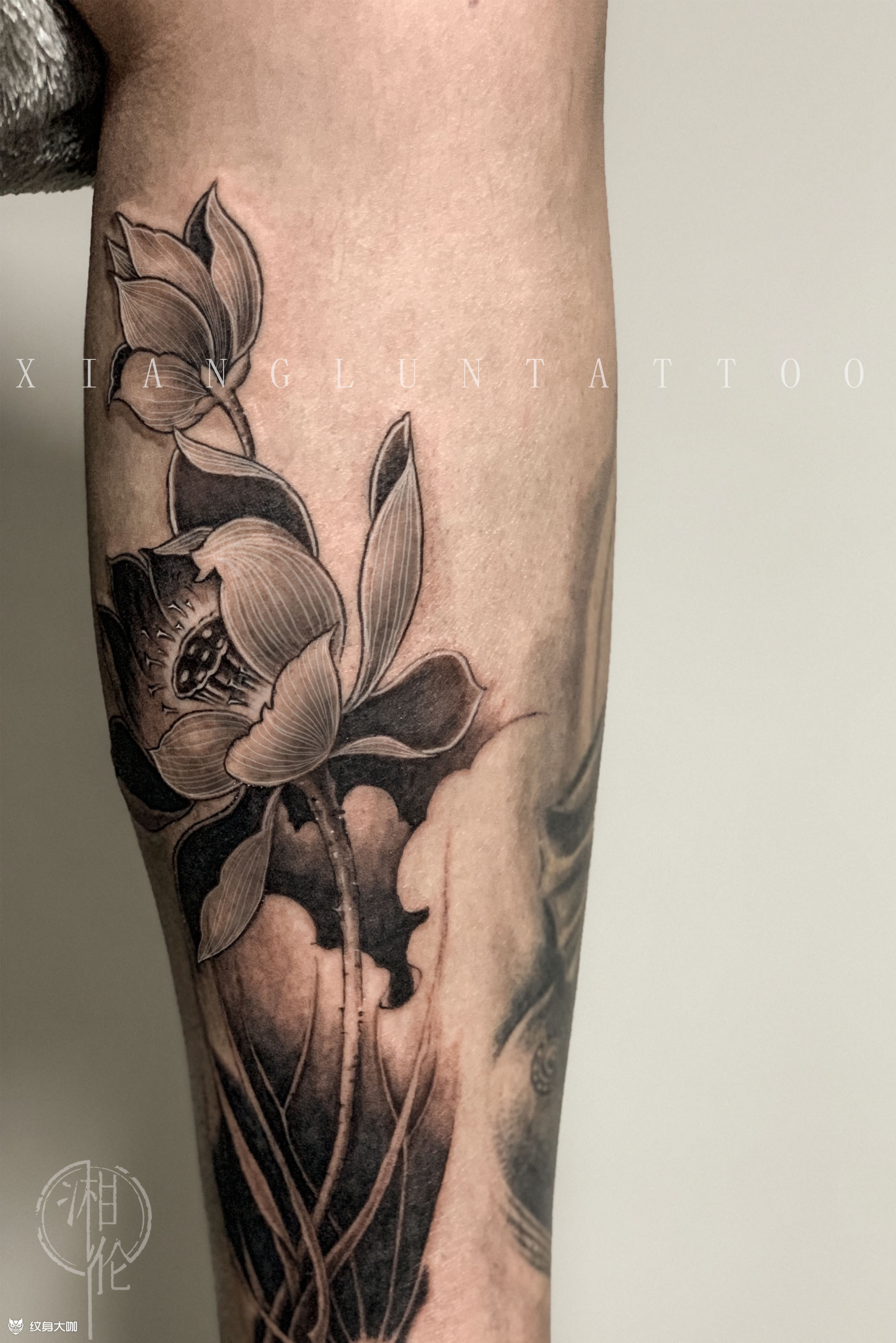 莲_纹身图案手稿图片_湘伦的纹身作品集