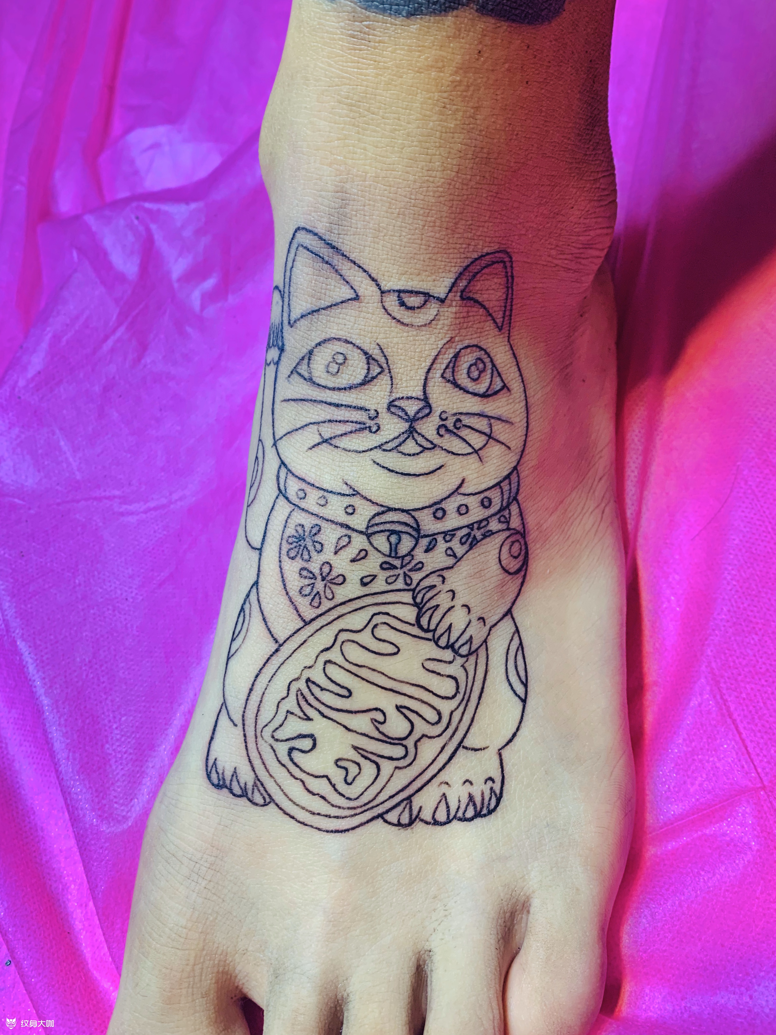 脚面招财猫割线未完