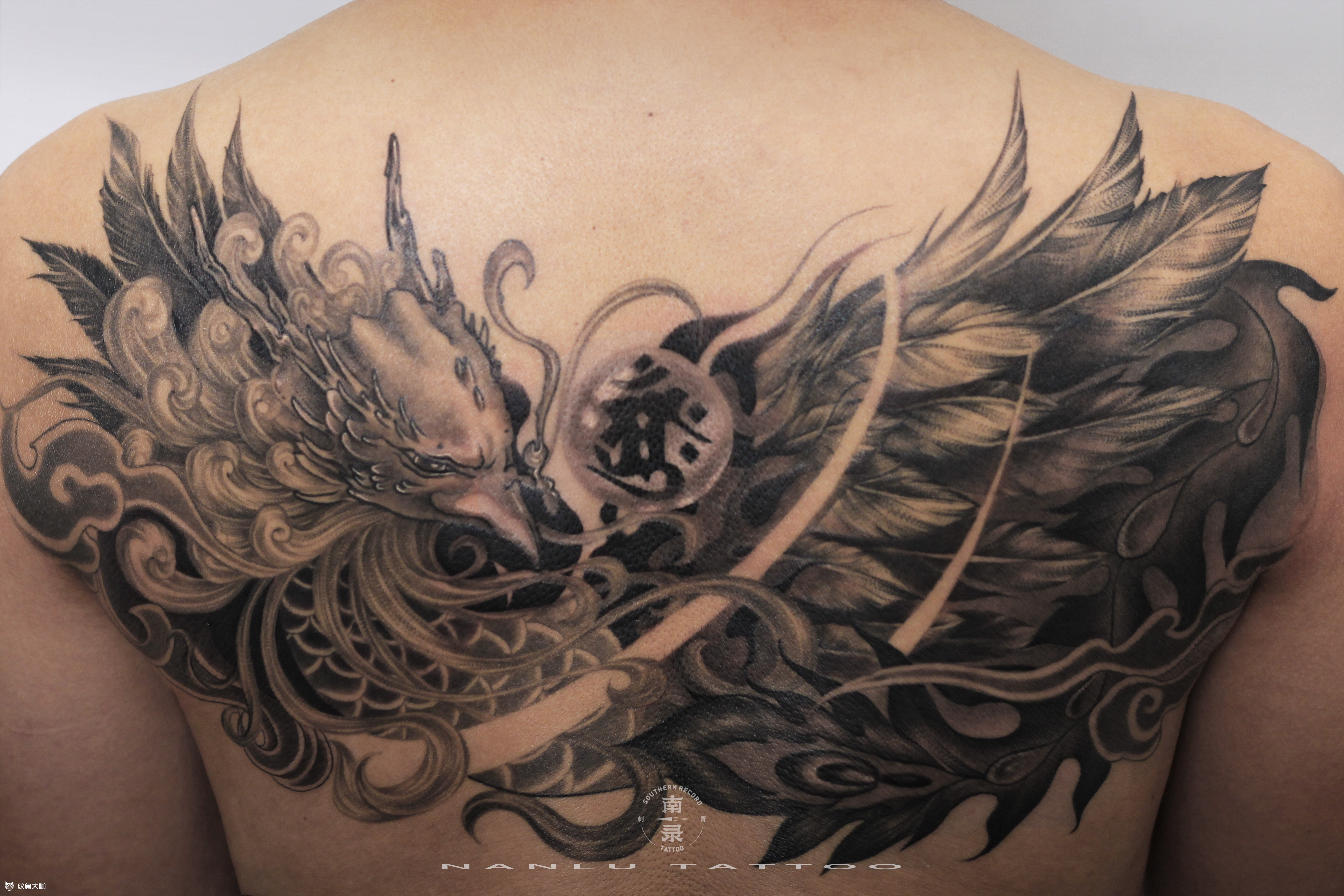 凤凰半背_纹身图案手稿图片_文杰的纹身作品集