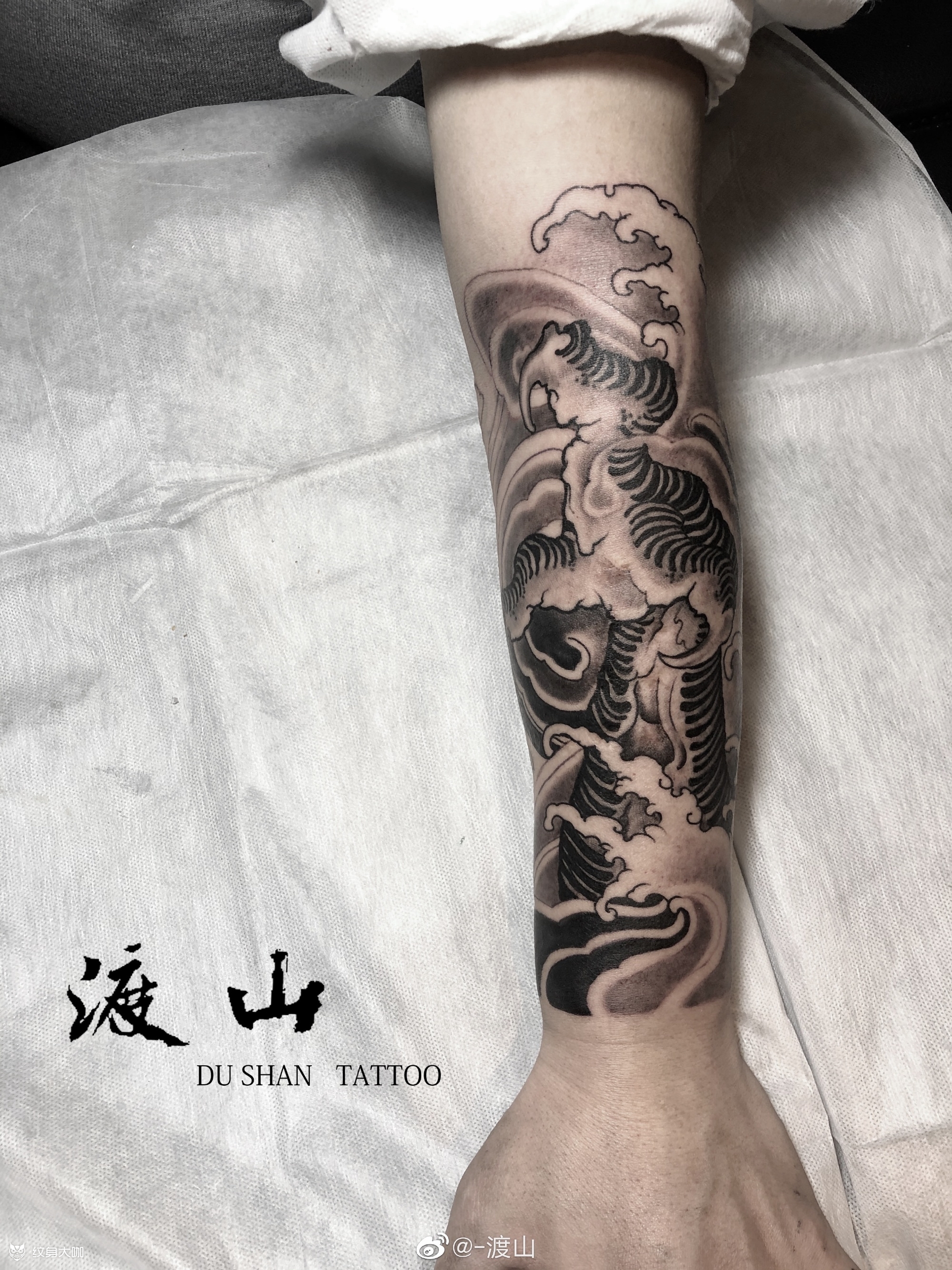 龙爪_纹身图案手稿图片_鸡尖的纹身作品集