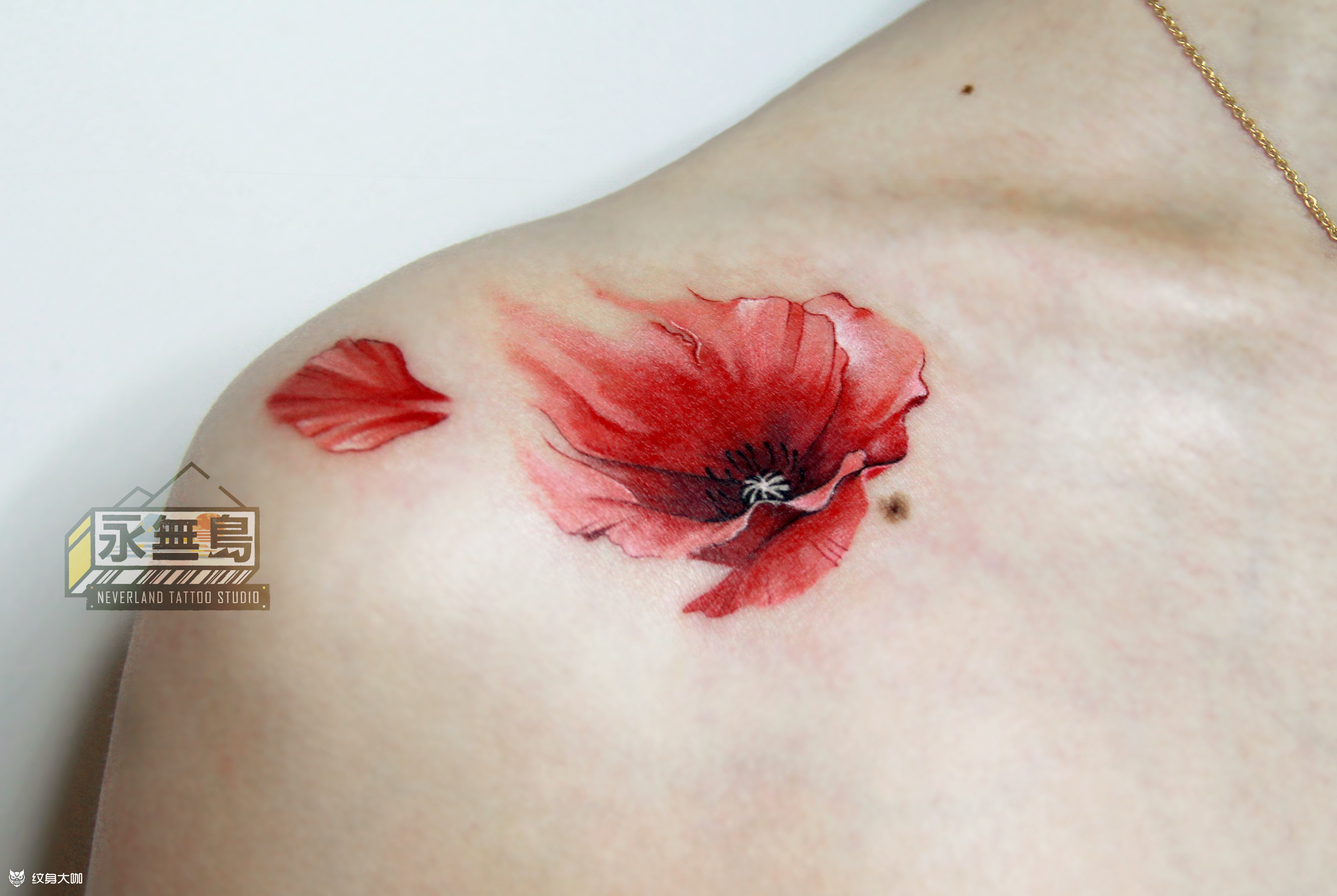 虞美人_纹身图案手稿图片_lilin李李的纹身作品集