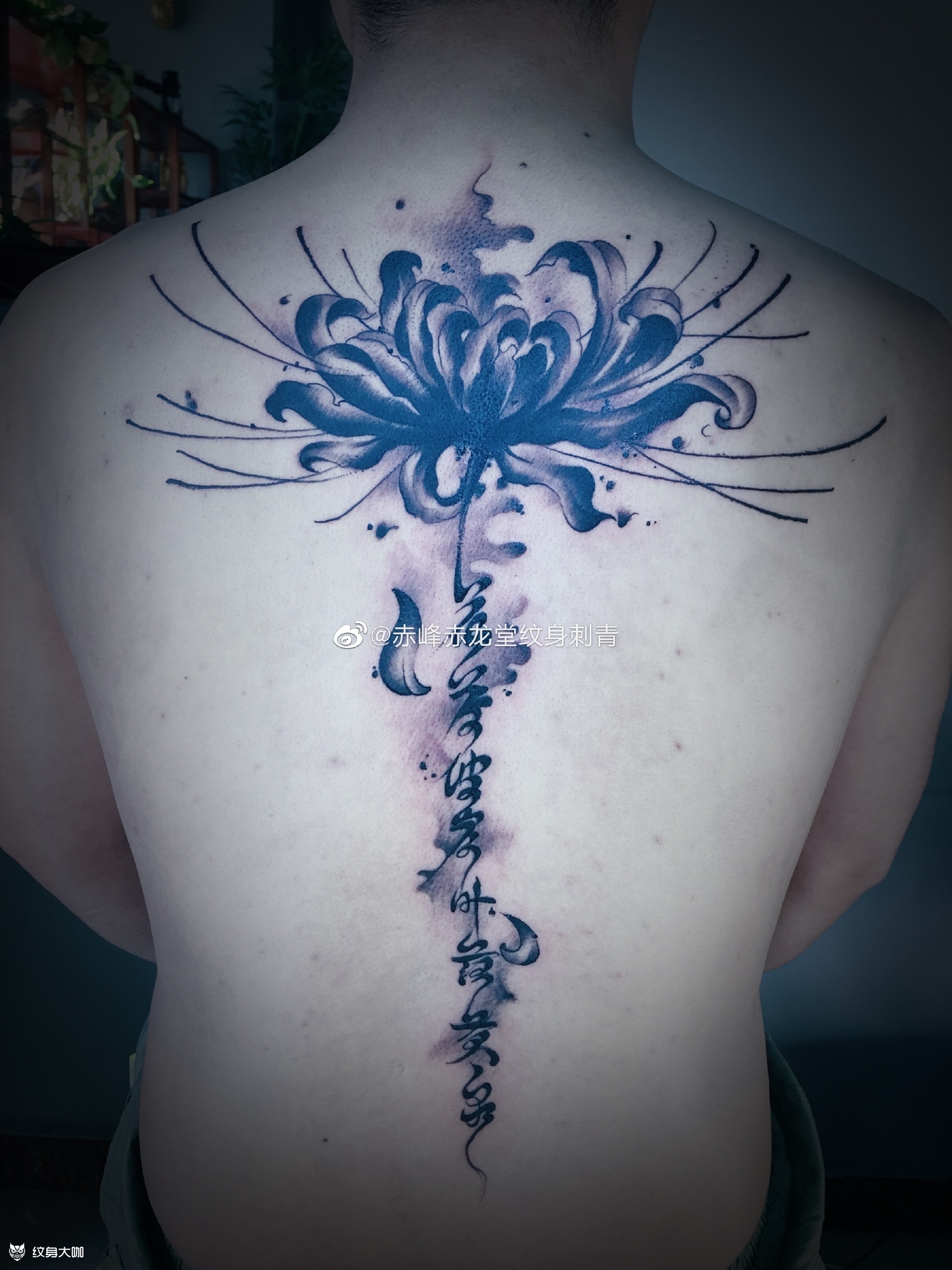 背部水墨彼岸花_纹身图案手稿图片_首席 明哥的纹身作品集