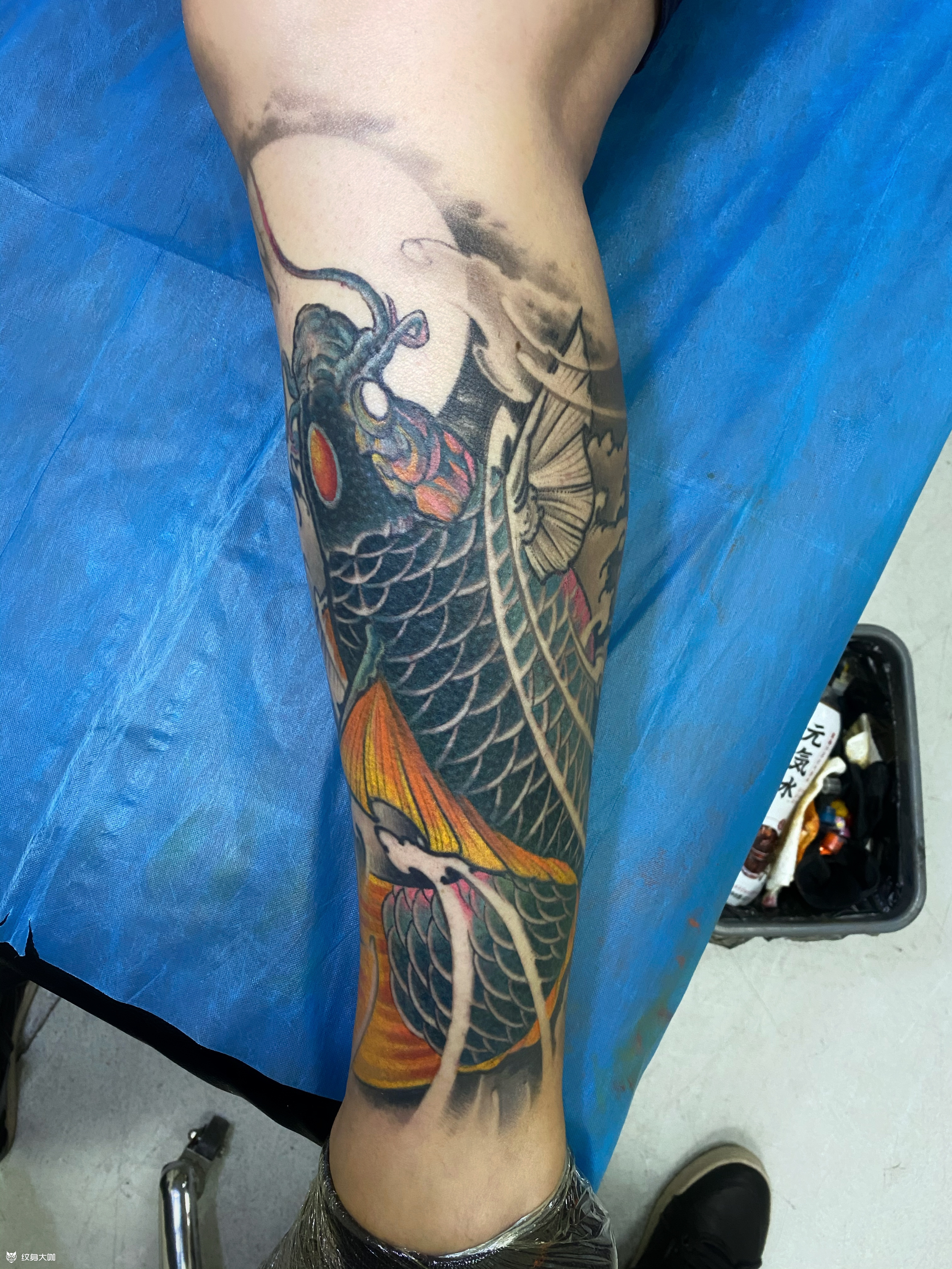 小腿鲤鱼未完成,下次继续_纹身吧社区 - 纹身大咖