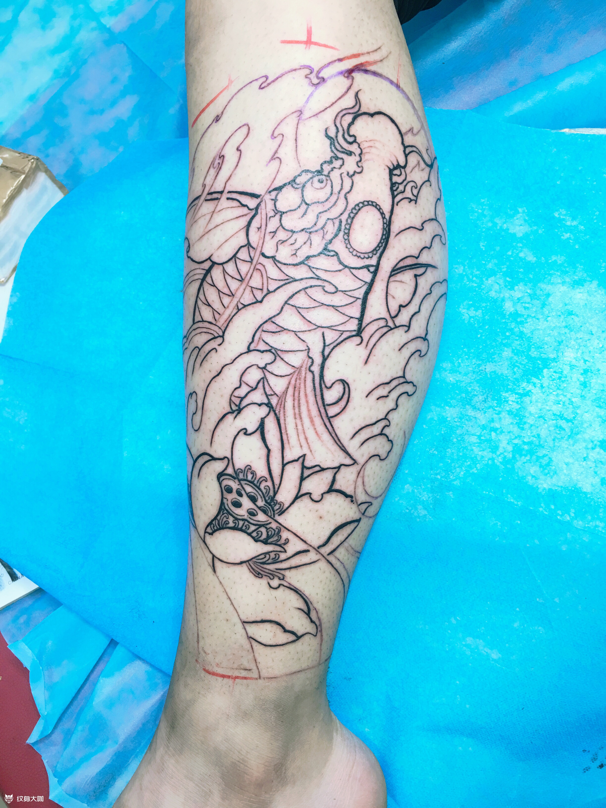 小腿鲤鱼线条上色一次完成,扎_纹身吧社区 - 纹身大咖