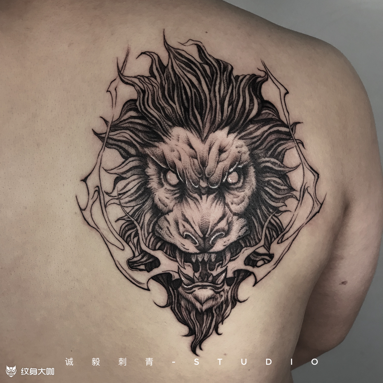 狮子纹身七大罪图片