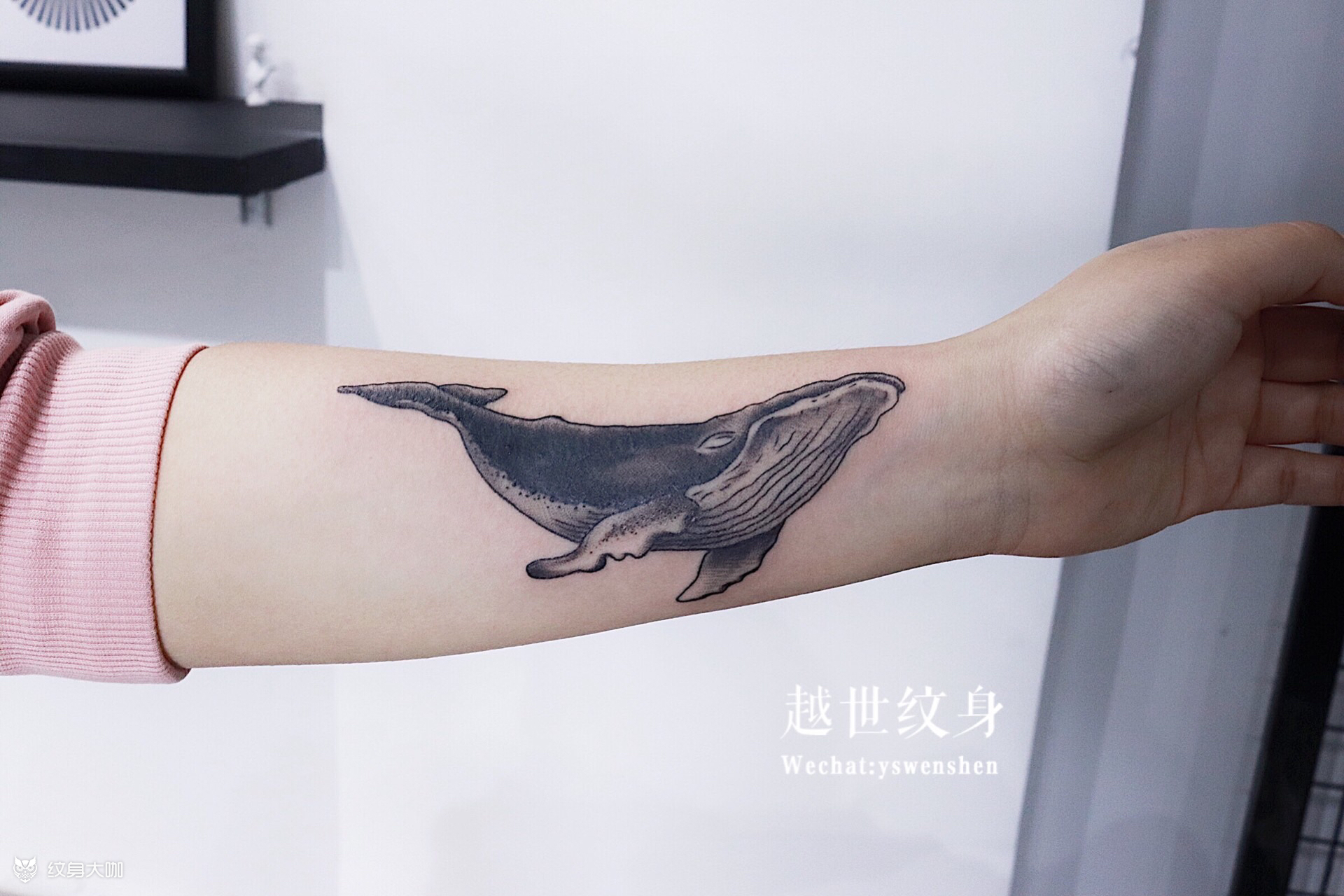 鲸鱼遮盖_纹身图案手稿图片_刘越的纹身作品集