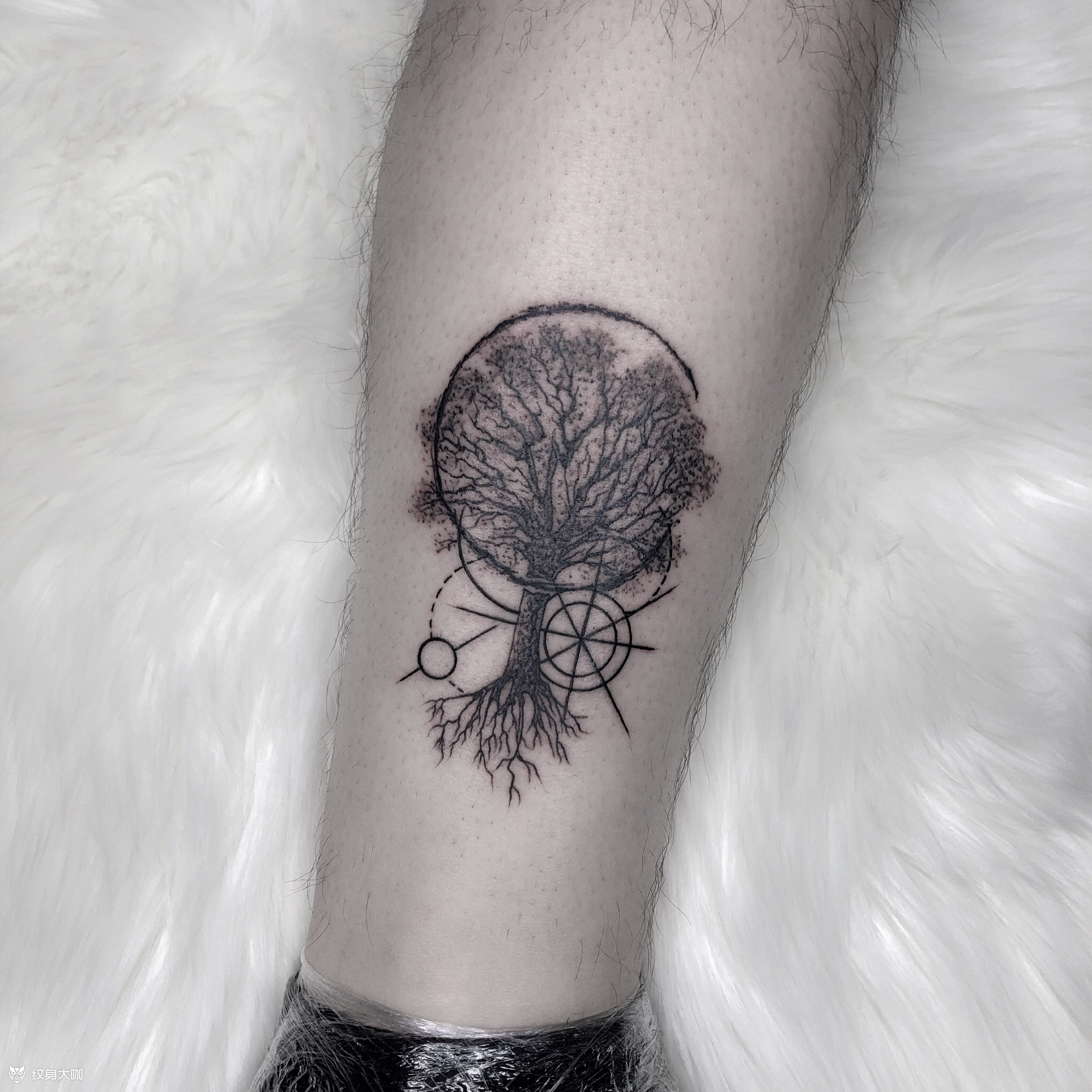 生命之树_纹身图案手稿图片_tattooist果果的纹身作品集