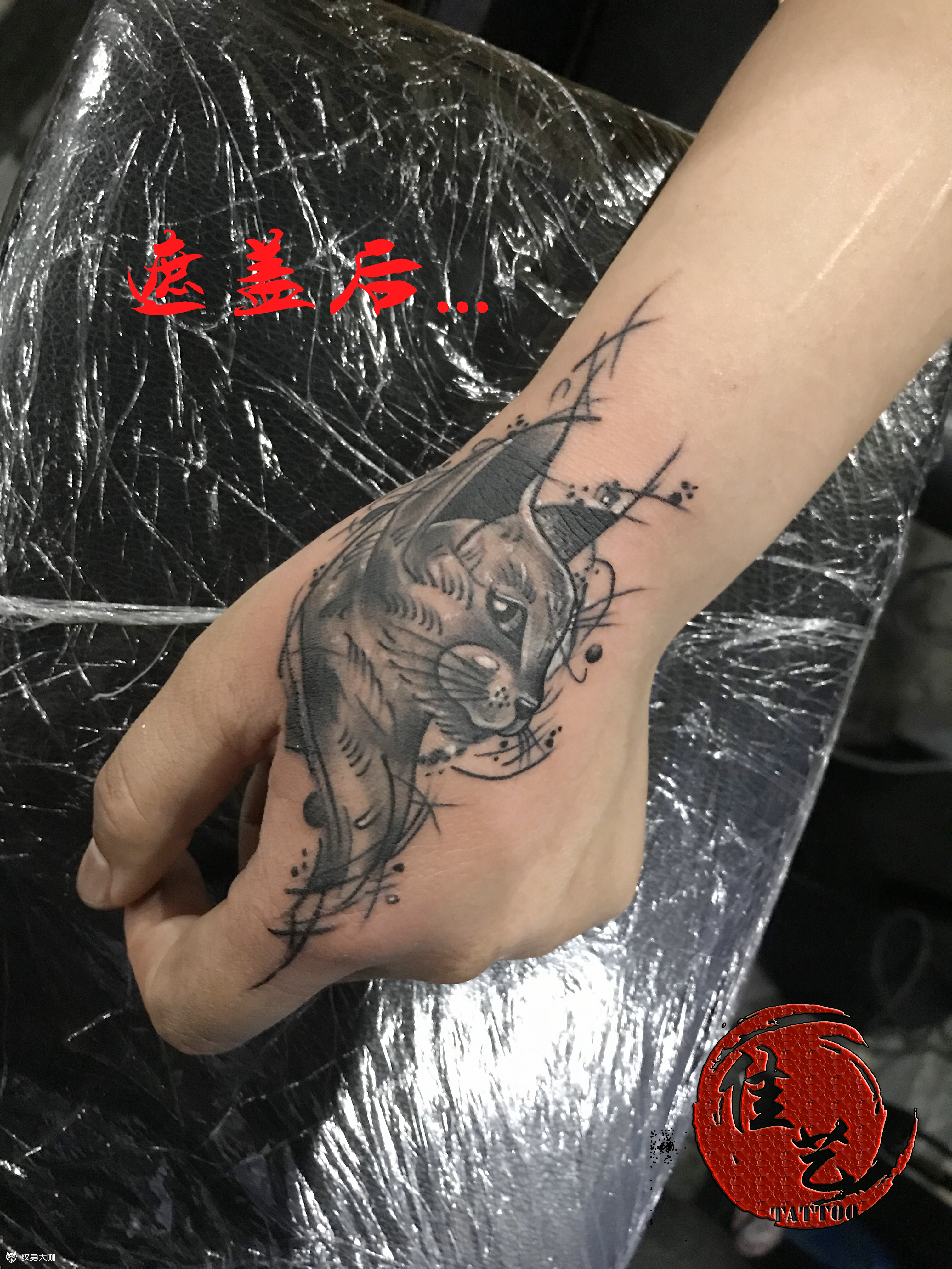 猞猁_纹身图案手稿图片_佳艺的纹身作品集
