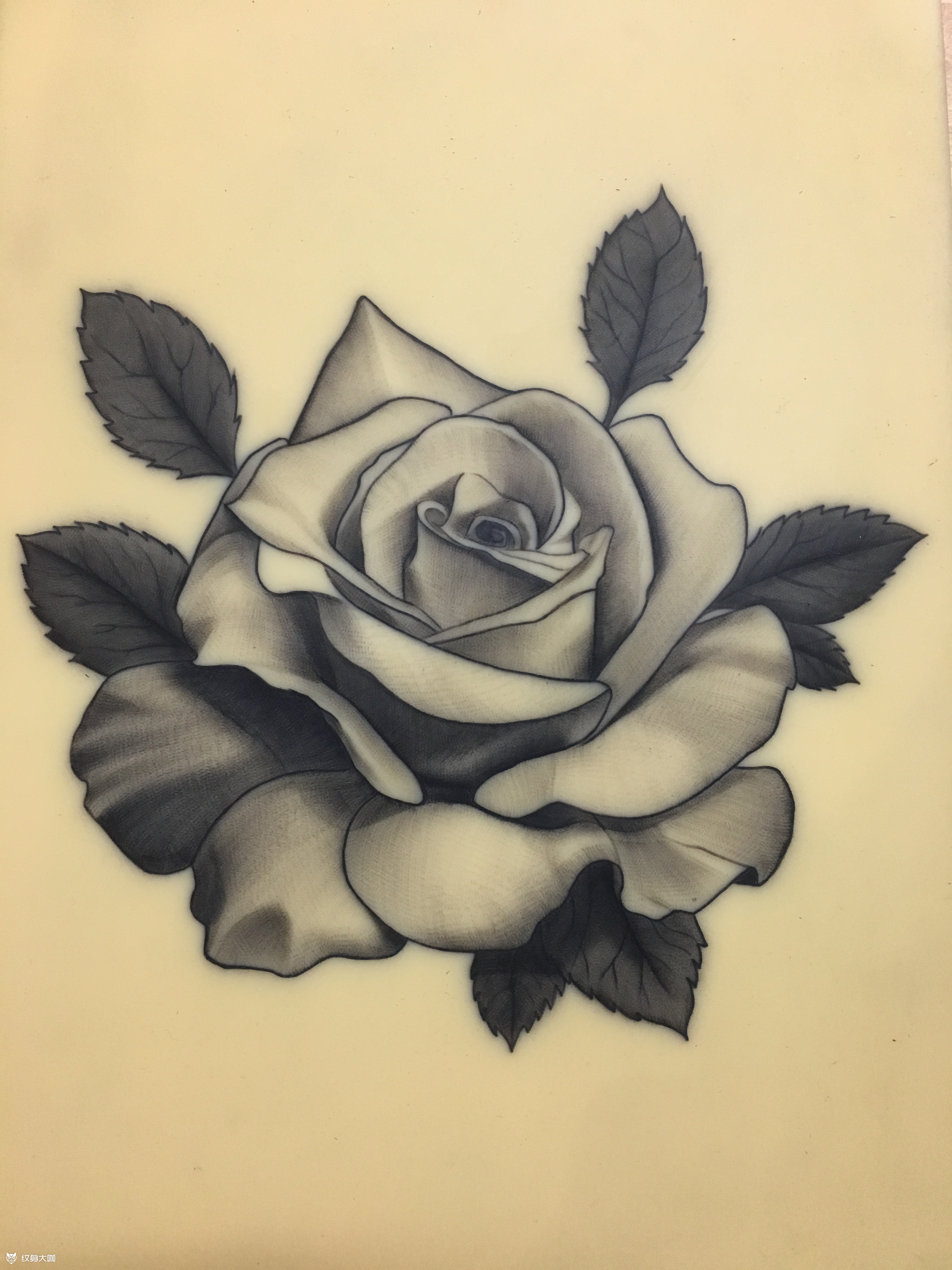 玫瑰_纹身图案手稿图片_rockris 的纹身作品集