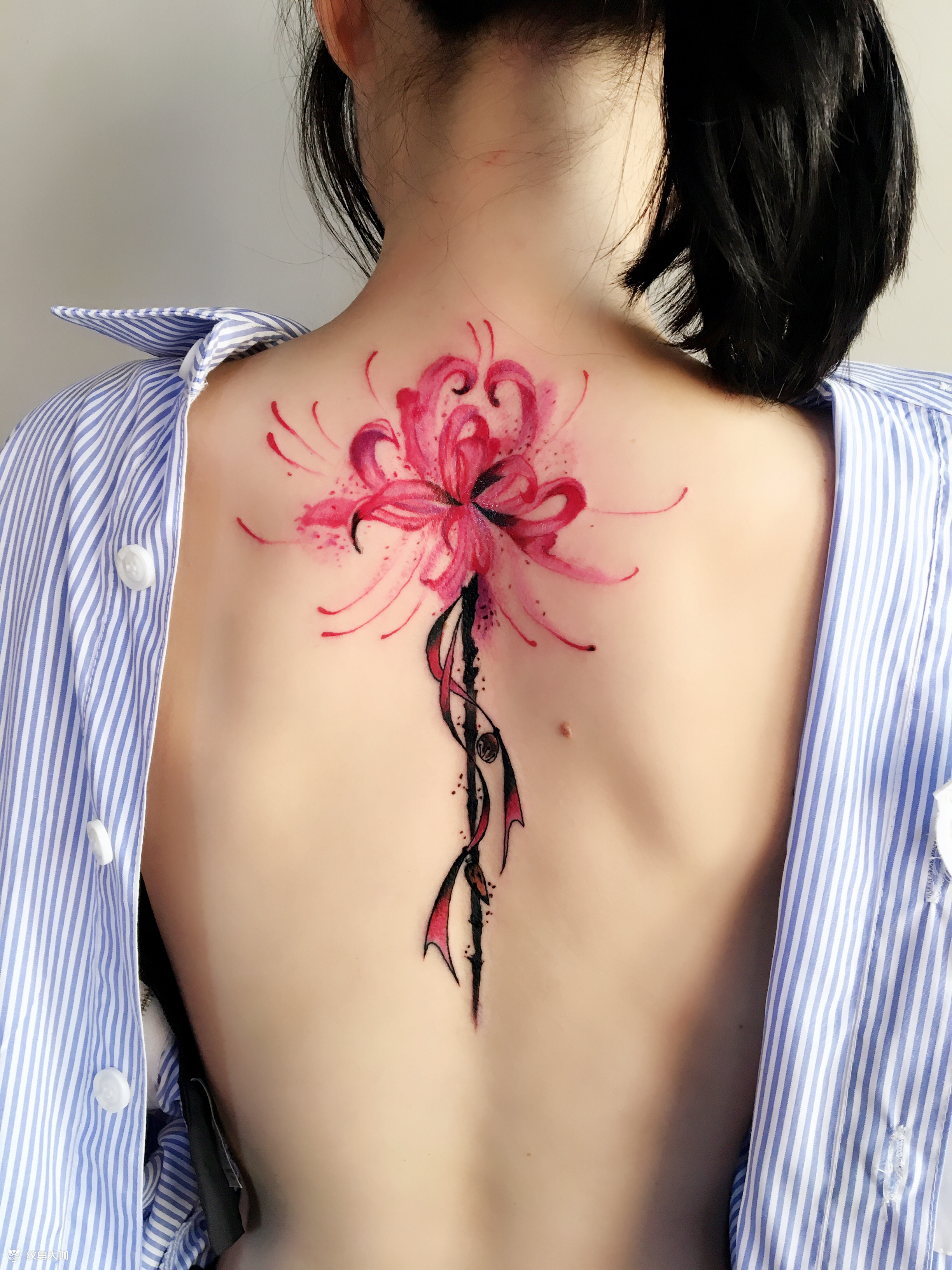 彼岸花_纹身图案手稿图片_曾绍鸣的纹身作品集