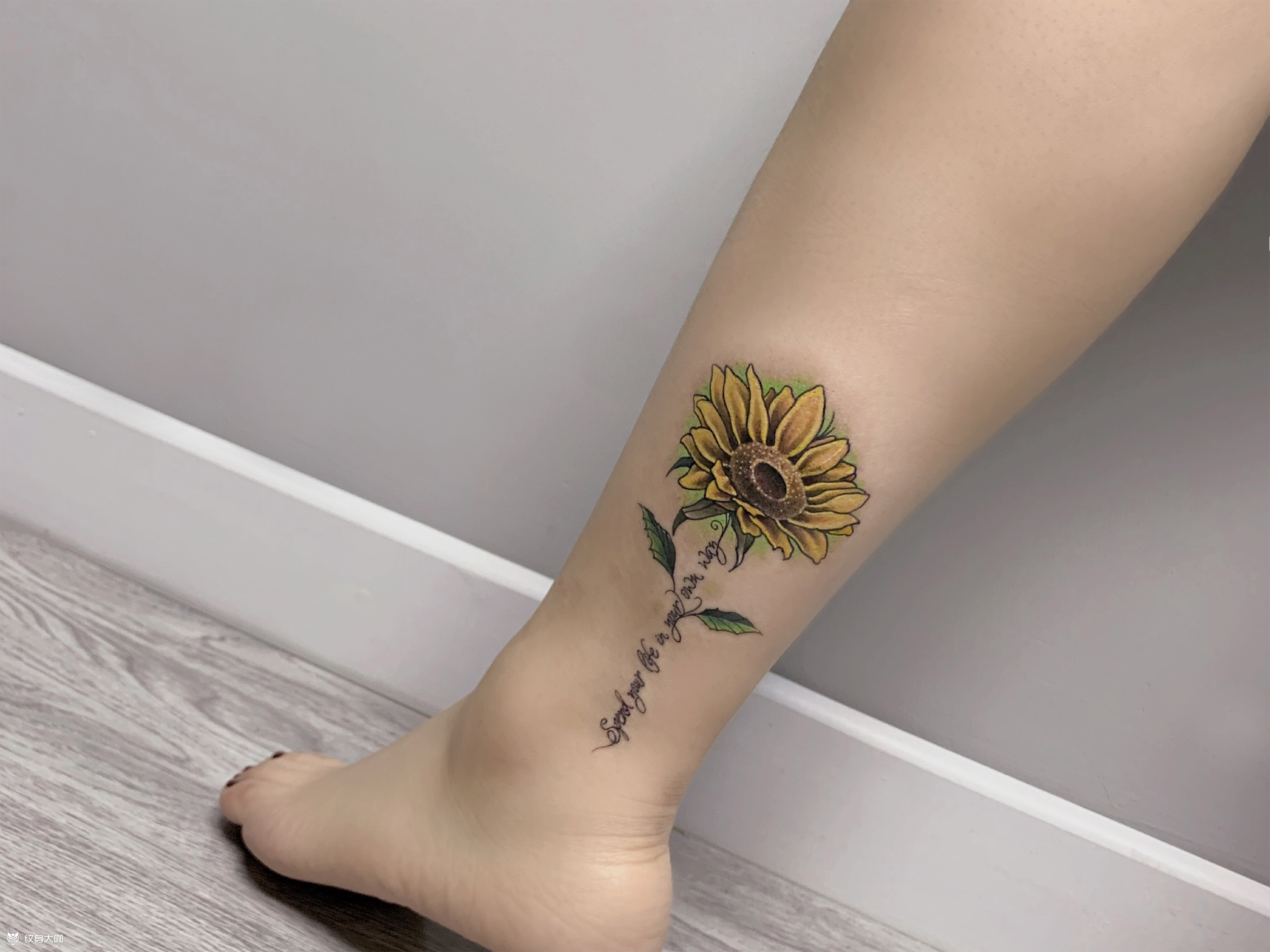 向日葵_纹身图案手稿图片_晓鹏的纹身作品集