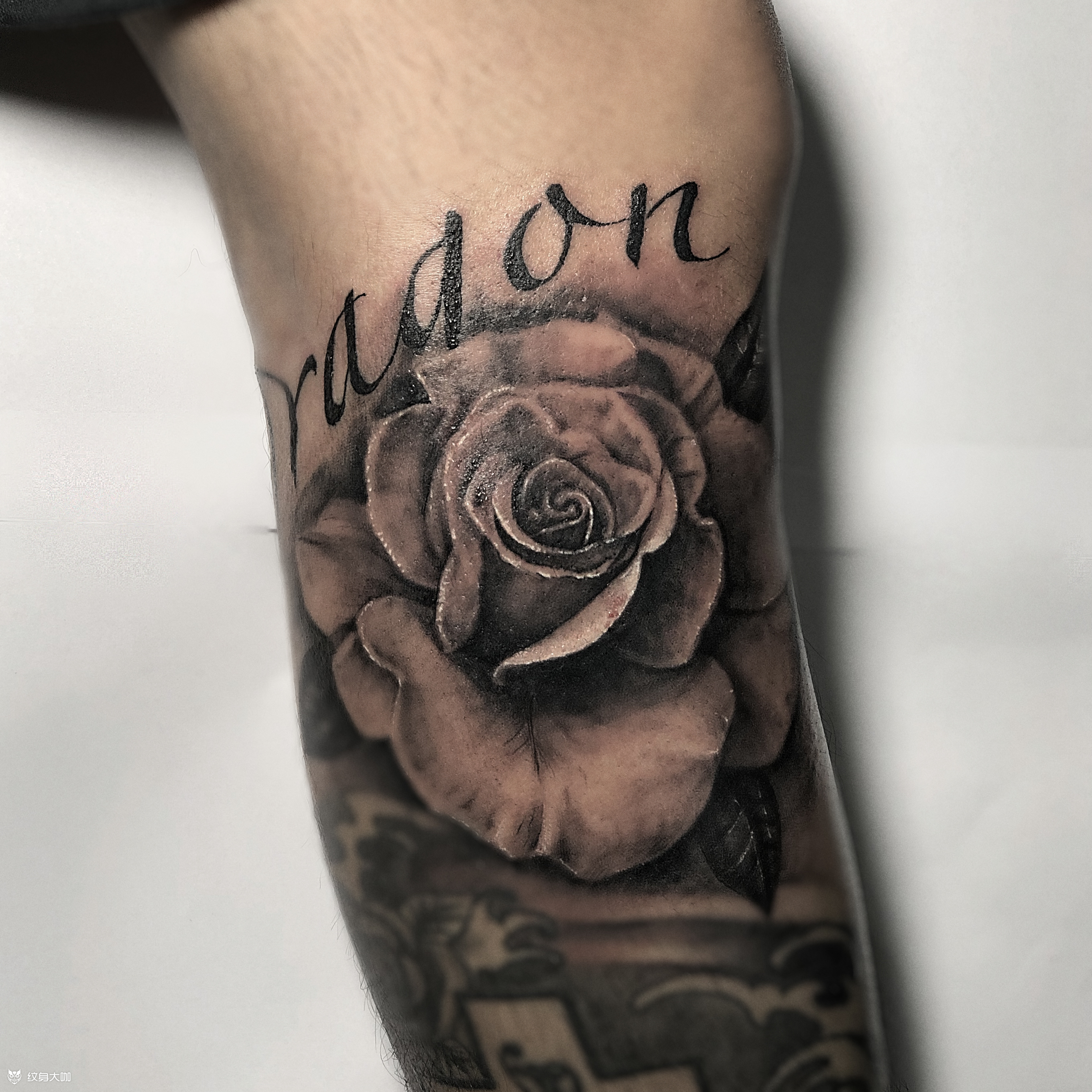 rose玫瑰_纹身图案手稿图片_jonny的纹身作品集