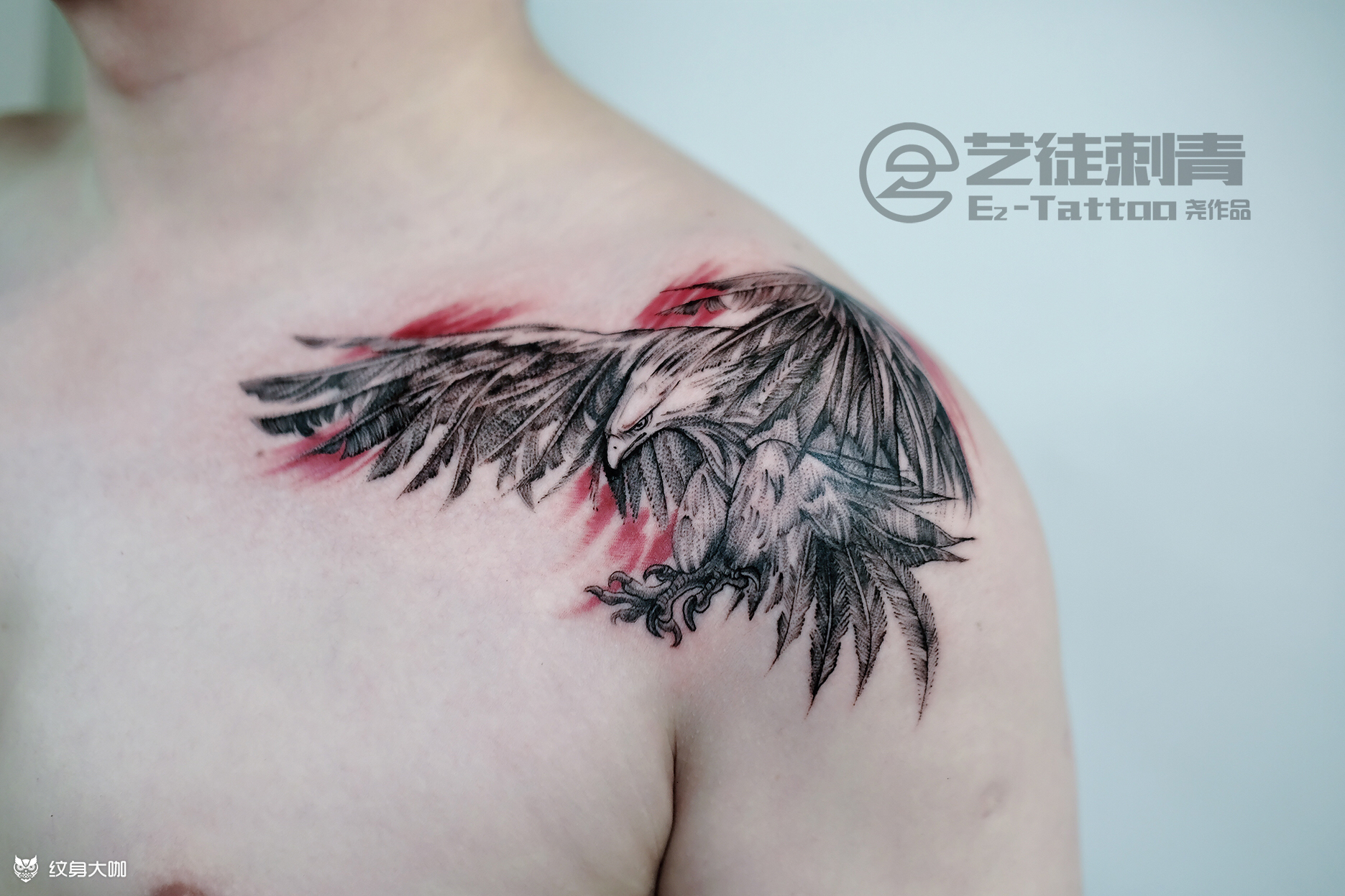 老鹰纹身写实过肩老雕一只 b_纹身吧社区 - 纹身大咖