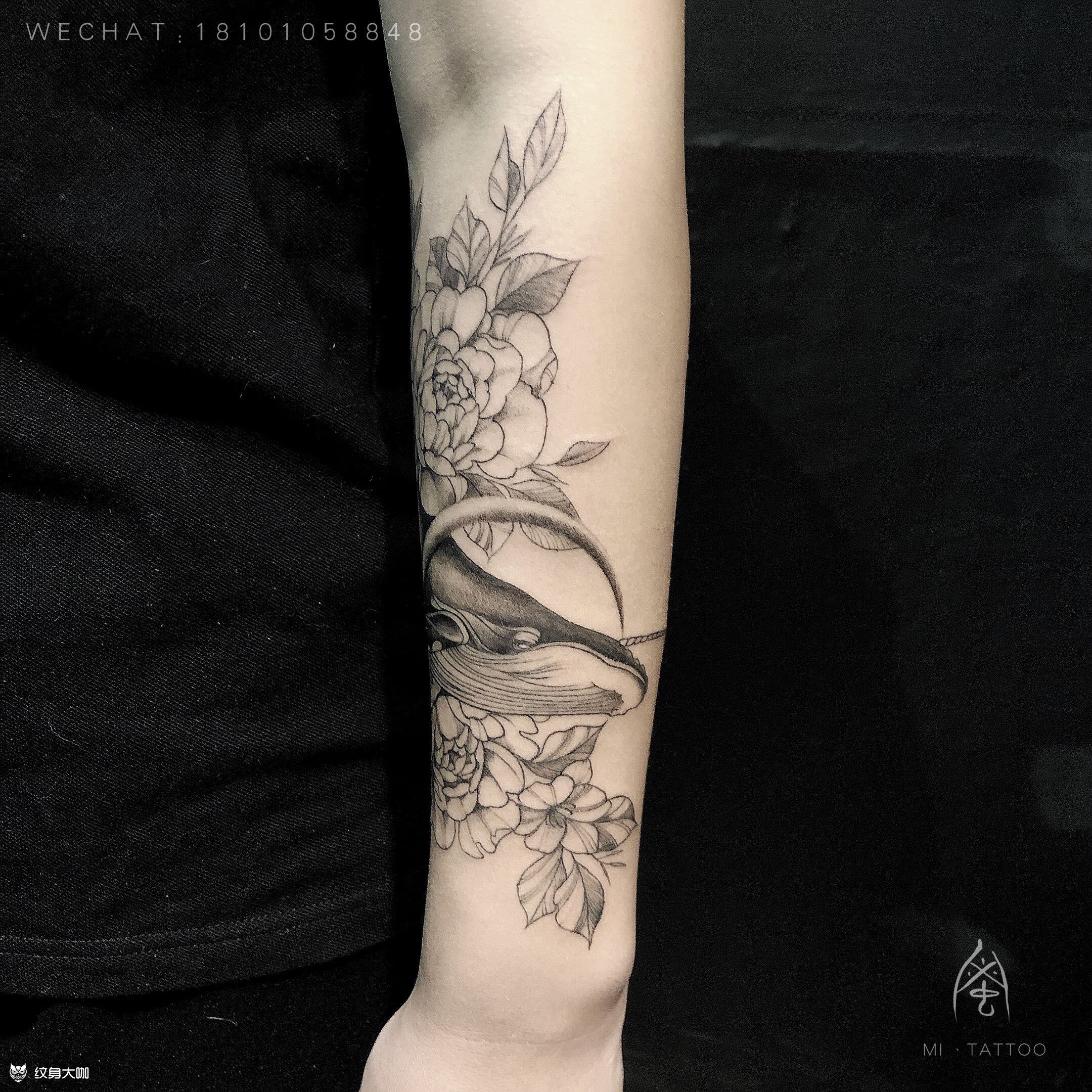 小臂素花鲸鱼_纹身图案手稿图片_大蜜的纹身作品集