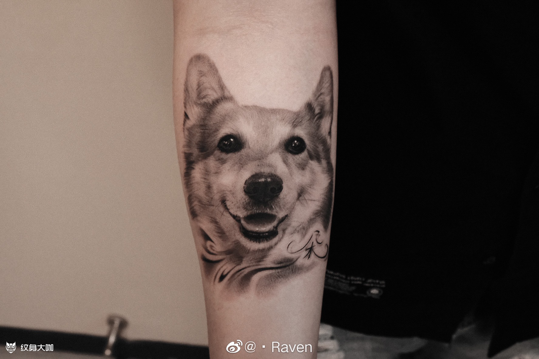 写实柯基_纹身图案手稿图片_raven的纹身作品集