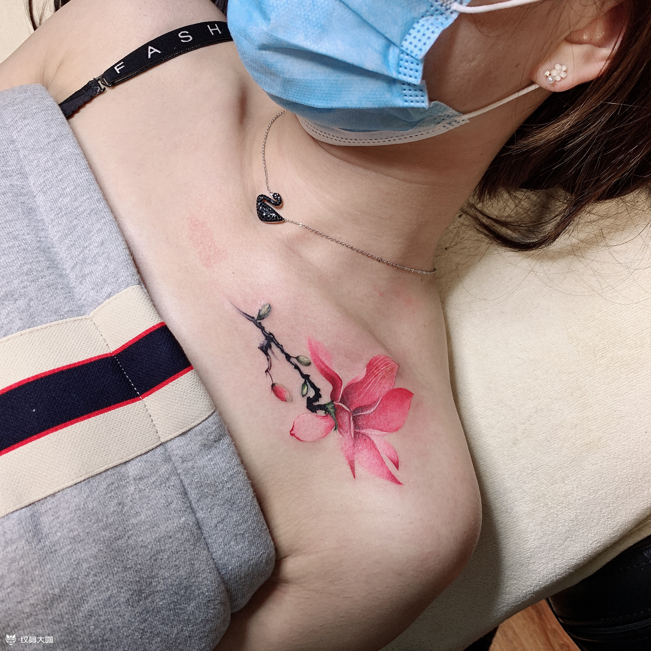 玉兰花遮盖字母