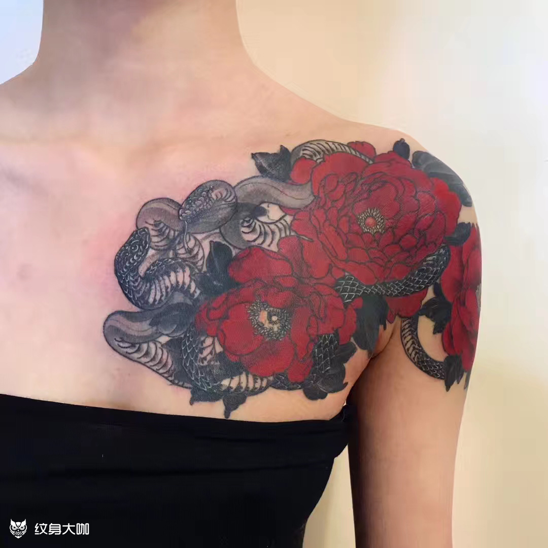 牡丹缠蛇 遮盖_纹身图案手稿图片_ran的纹身作品集