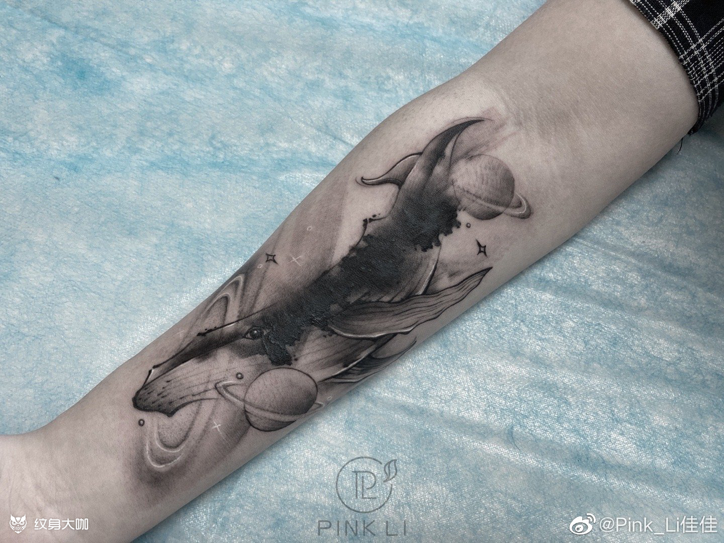 鲸鱼纹身遮盖