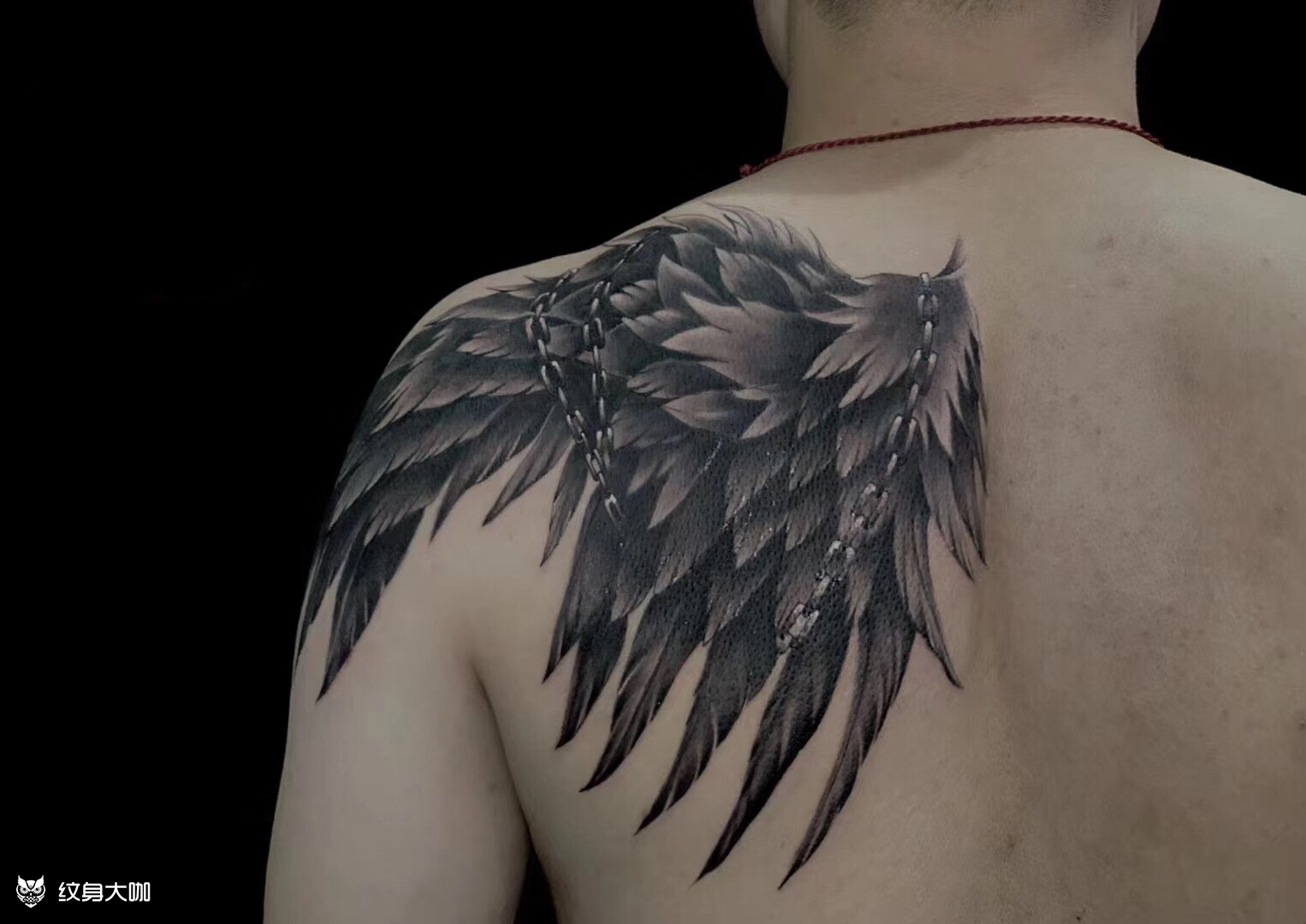 翅膀_纹身图案手稿图片_49%的纹身作品集
